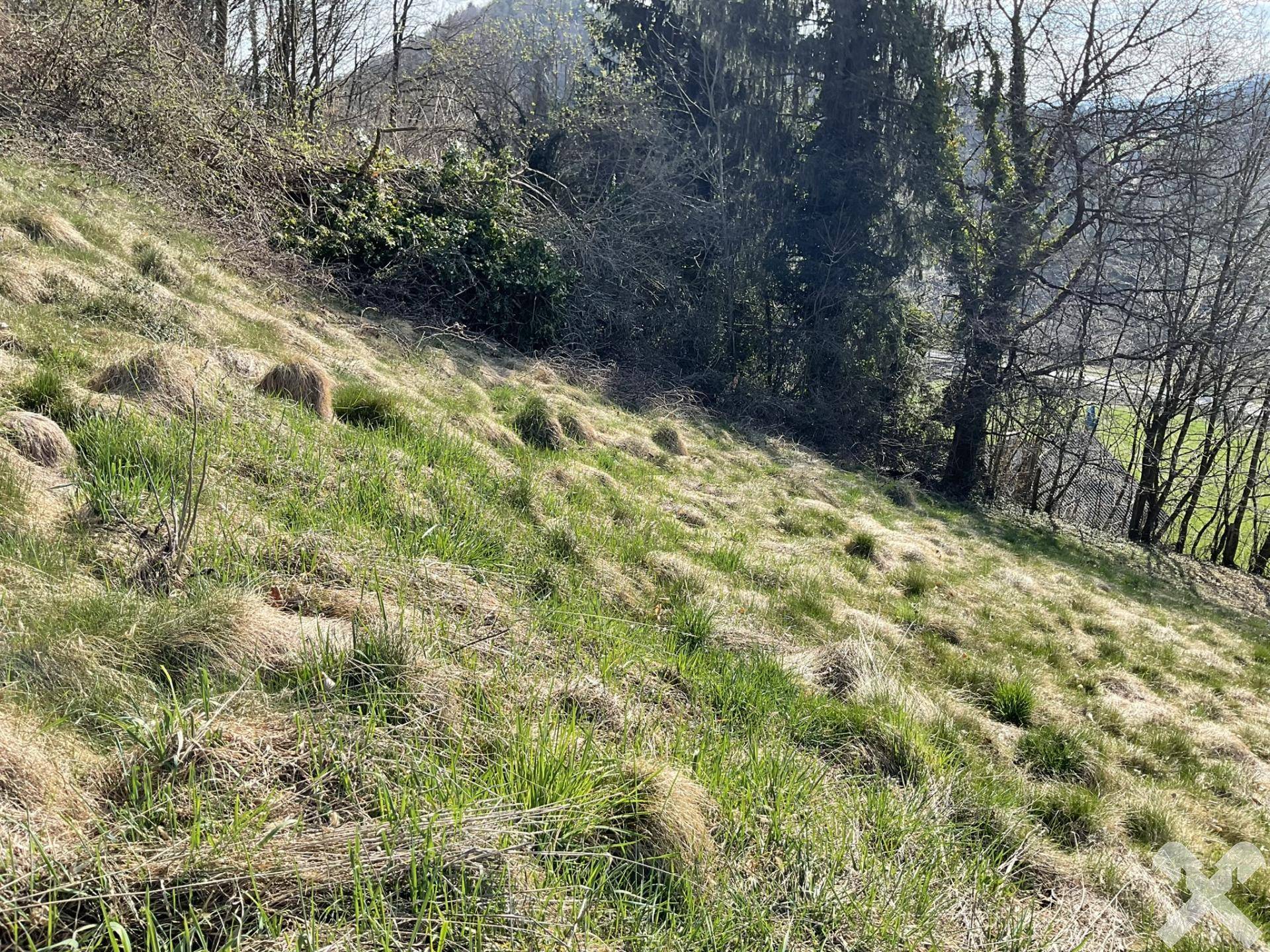 Hanglage mit Potenzial - Grundstück nahe Wies - Ansicht 6