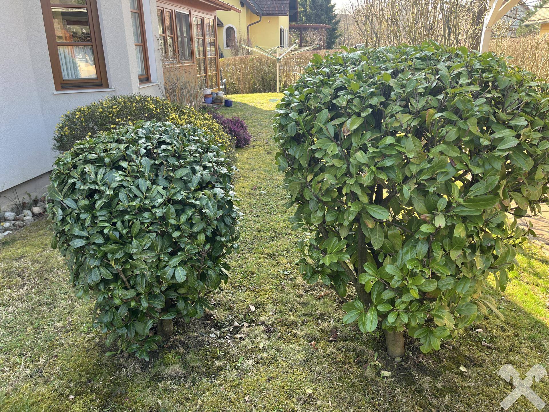 Charmantes, sehr gepflegtes Einfamilienhaus in ruhiger Lage von Klöch - Ansicht 4