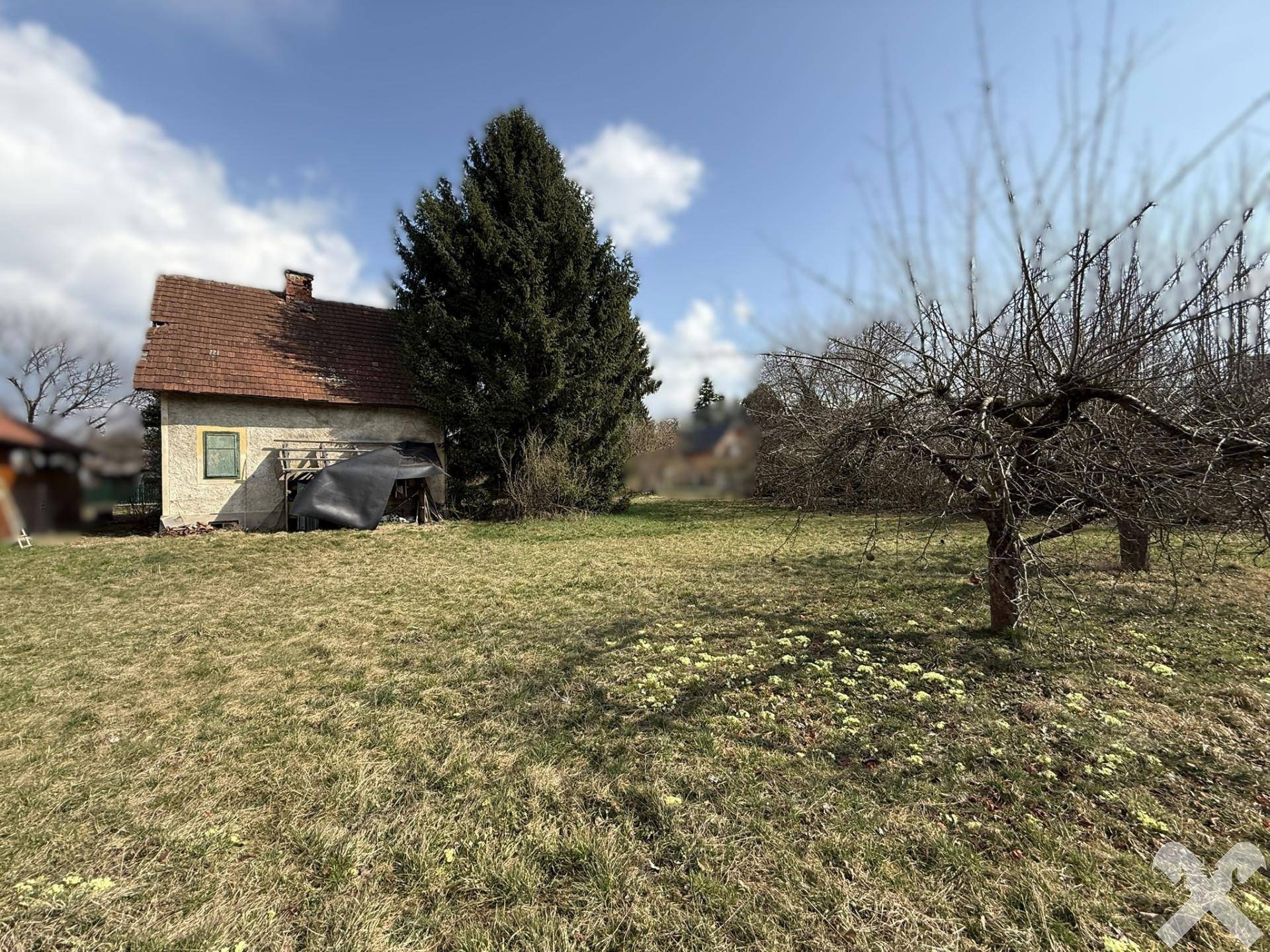 Altes Haus mit großem, naturbelassenem Garten und Obstbäumen unter blauem Himmel.