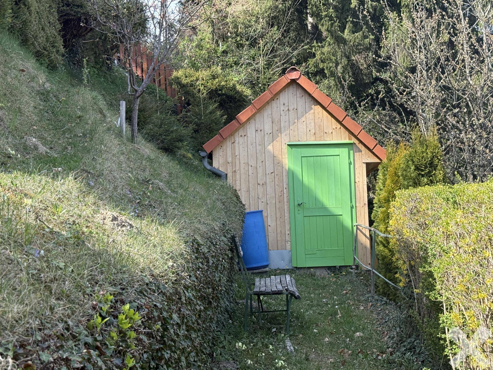 Holzschuppen mit grünem Tor am Hang im Garten, umgeben von Bäumen und Sträuchern.