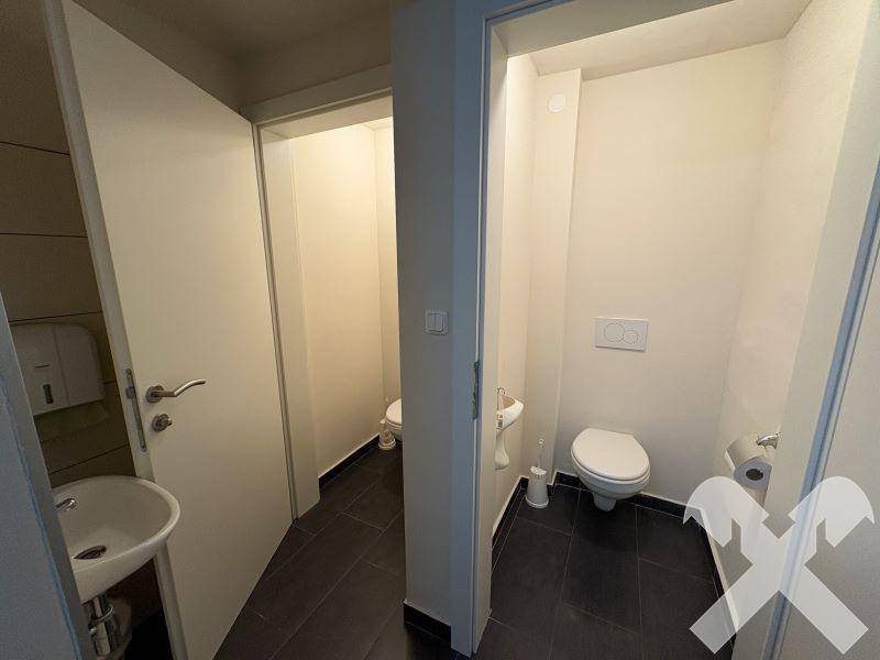 Moderner Sanitärbereich mit mehreren Toiletten, Waschbecken und dunklen Fliesen.
