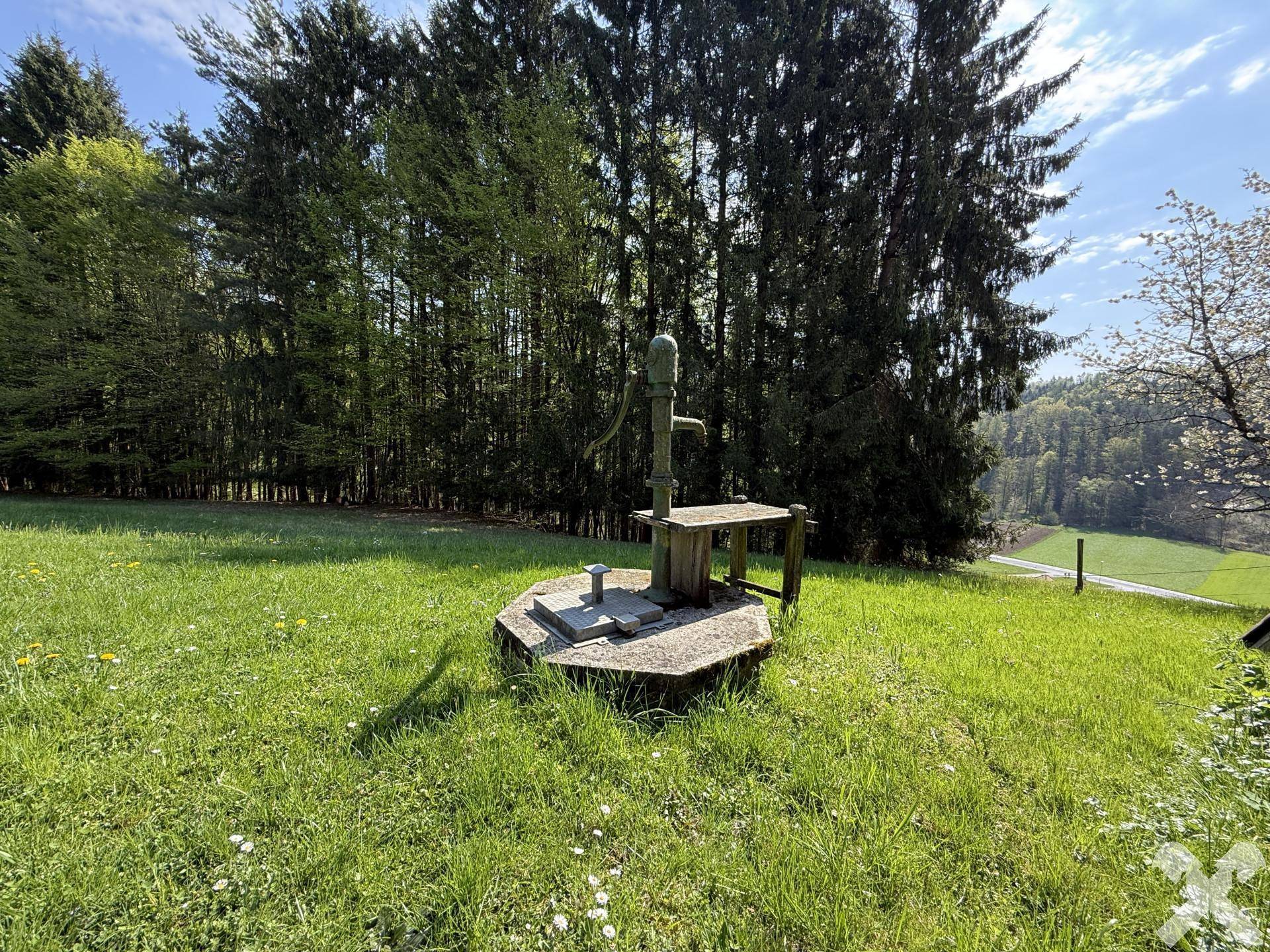 Historische Wasserpumpe auf einer grünen Wiese, umgeben von hohen Bäumen und Natur.