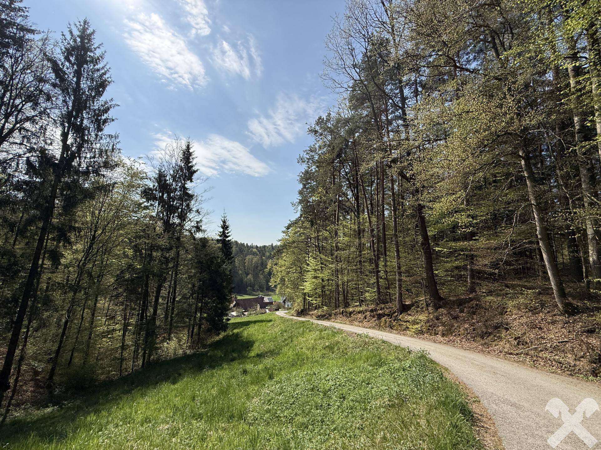 Schotterweg führt durch einen dichten Wald, mit Blick auf die ländliche Umgebung.