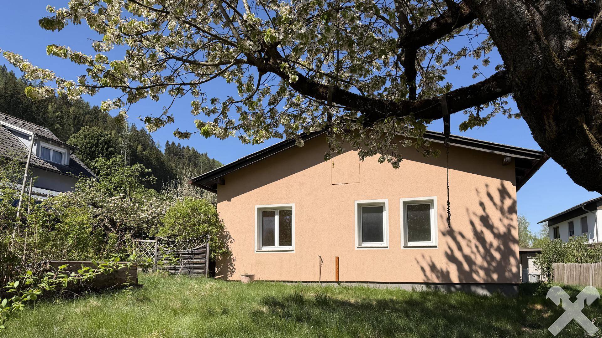 Seitenansicht des Hauses mit blühendem Baum und grüner Umgebung an einem sonnigen Tag.