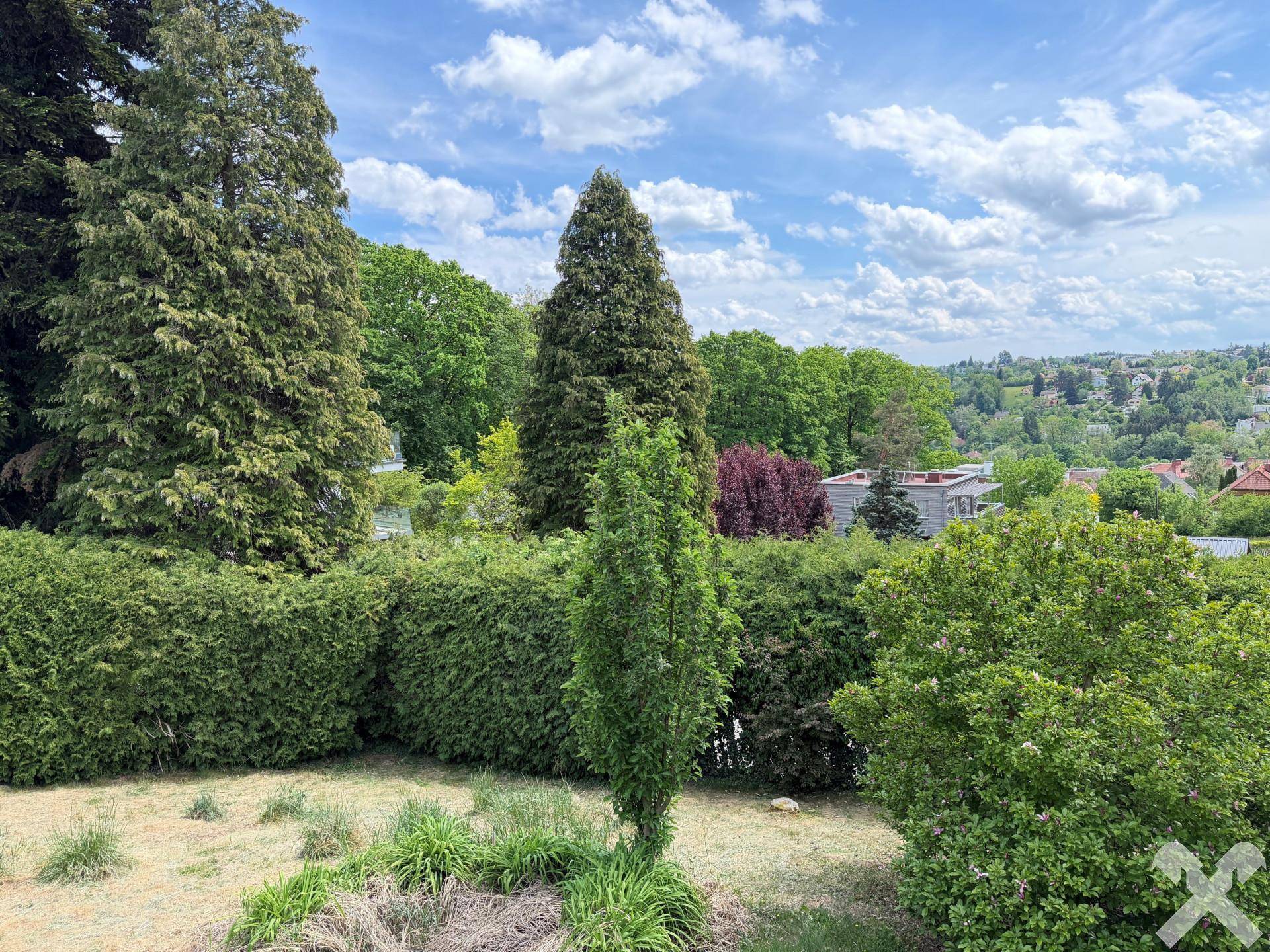 Gepflegter Gartenbereich mit hohen Bäumen, dichten Hecken und Blick auf die umliegende Bebauung.