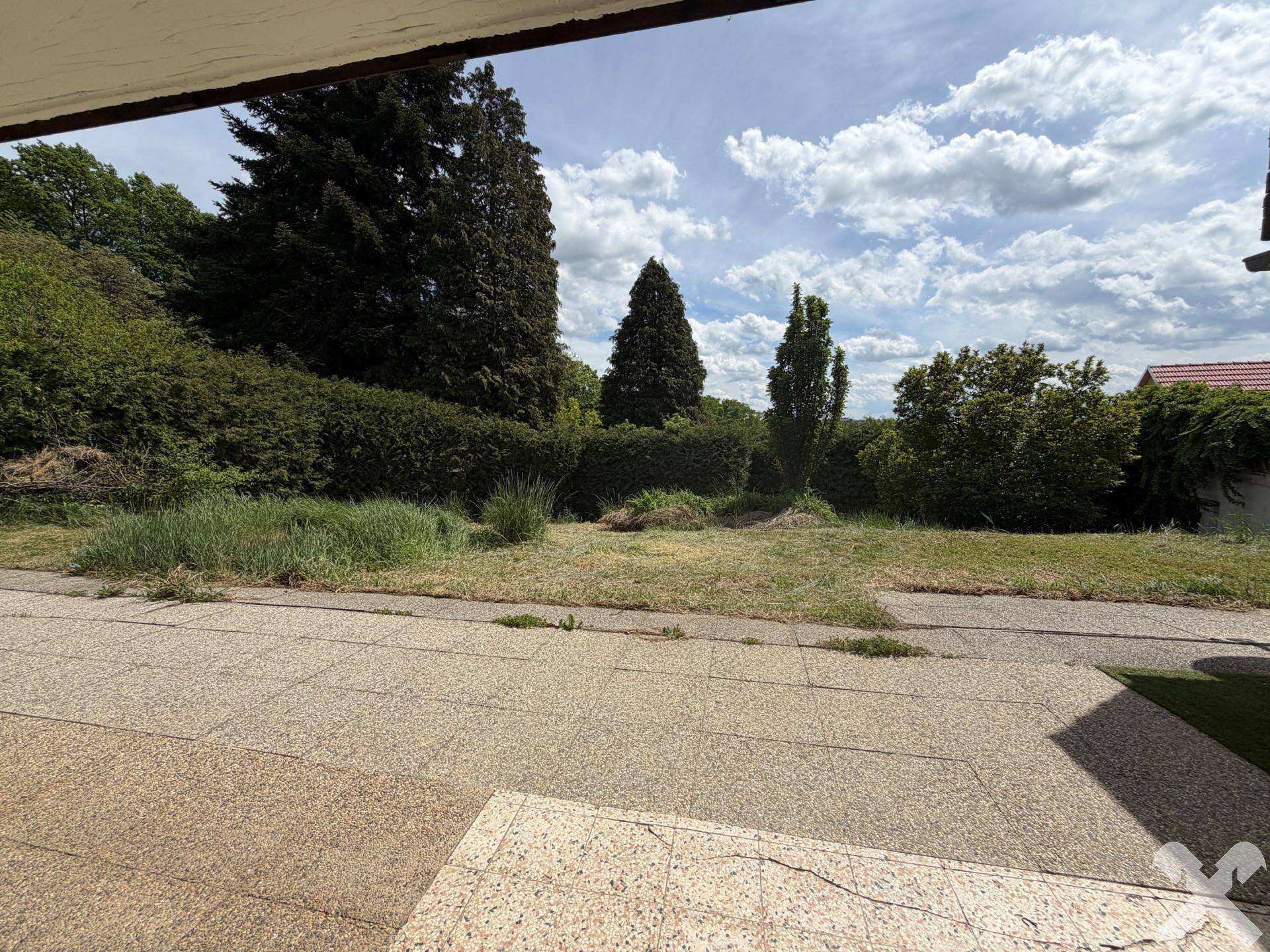 Gepflasterter Terrassenbereich mit angrenzender Rasenfläche und üppiger grüner Bepflanzung.