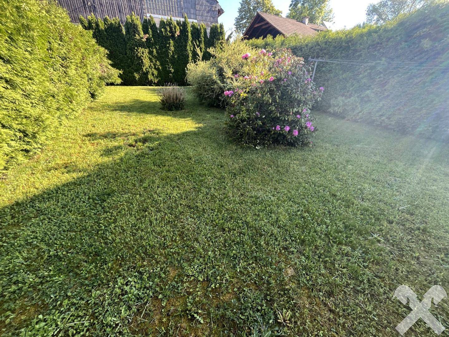Gepflegter Gartenbereich mit Rasenfläche und blühenden Büschen, sonnig und ruhig gelegen.