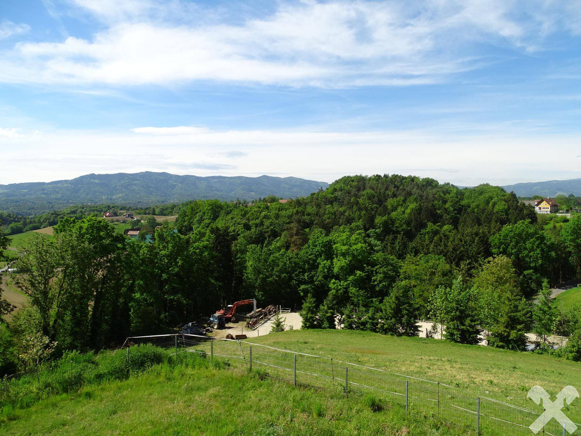 Weitläufiger Blick auf die grüne Hügellandschaft mit Wald und Bergen im Hintergrund.