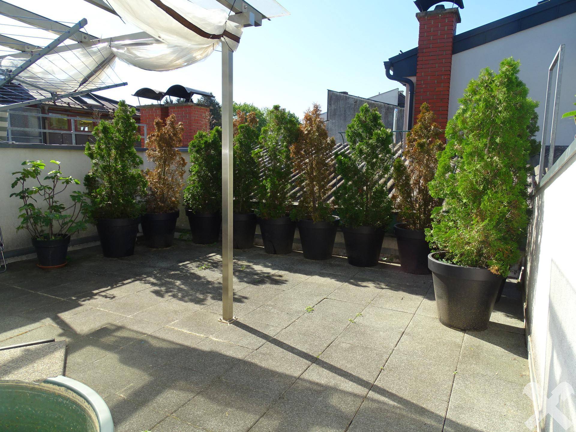 Geräumige Dachterrasse mit Pflanzkübeln und Sonnenschutz, ideal zum Entspannen.