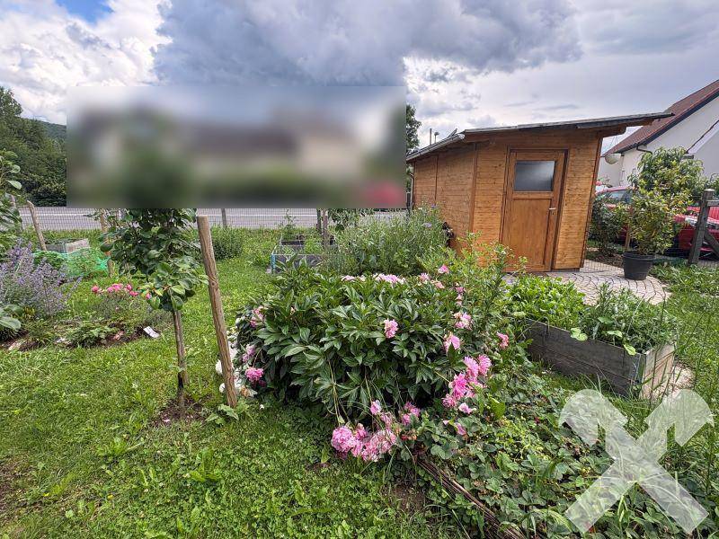 Üppiger Garten mit blühenden Pflanzen, Hochbeeten und einem praktischen Holzschuppen im Hintergrund.