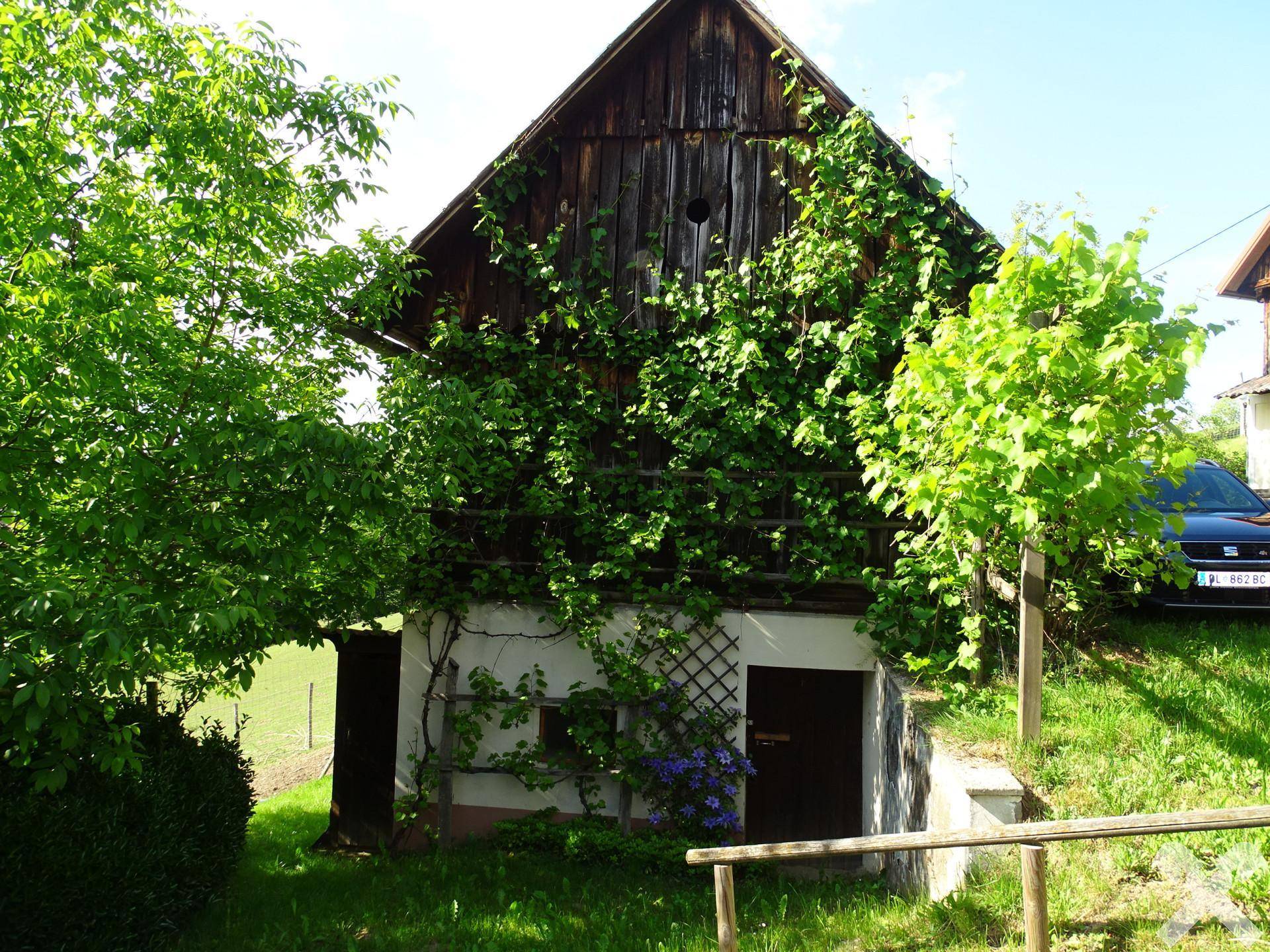 Kleines Gebäude mit üppigem Weinbewuchs an der Fassade und einem Auto im Hintergrund auf dem Grundstück.