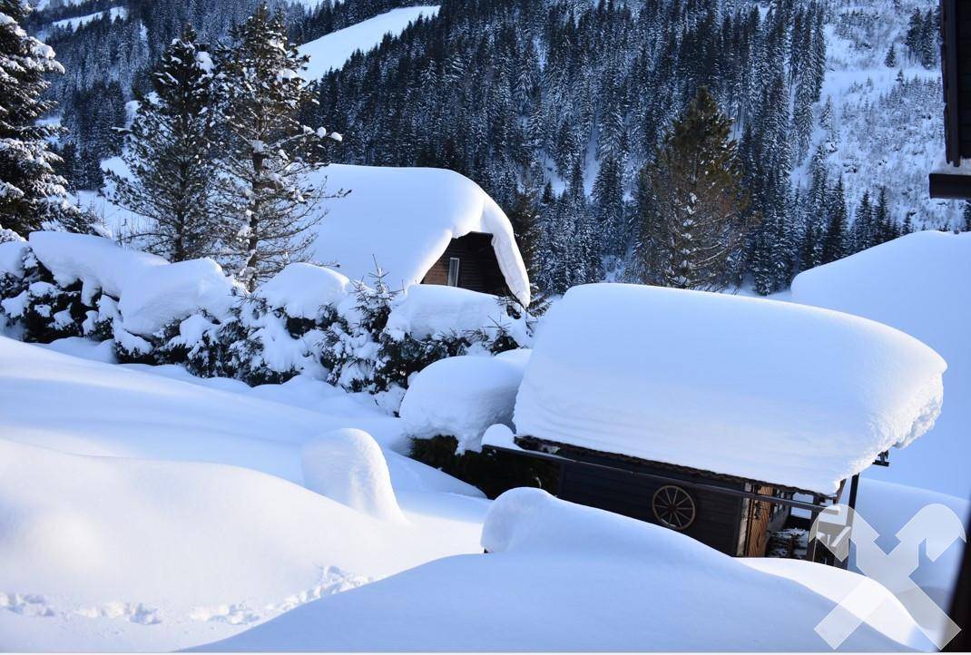 Winterliche Landschaft mit tief verschneiten Bäumen und einem teilweise sichtbaren Haus.