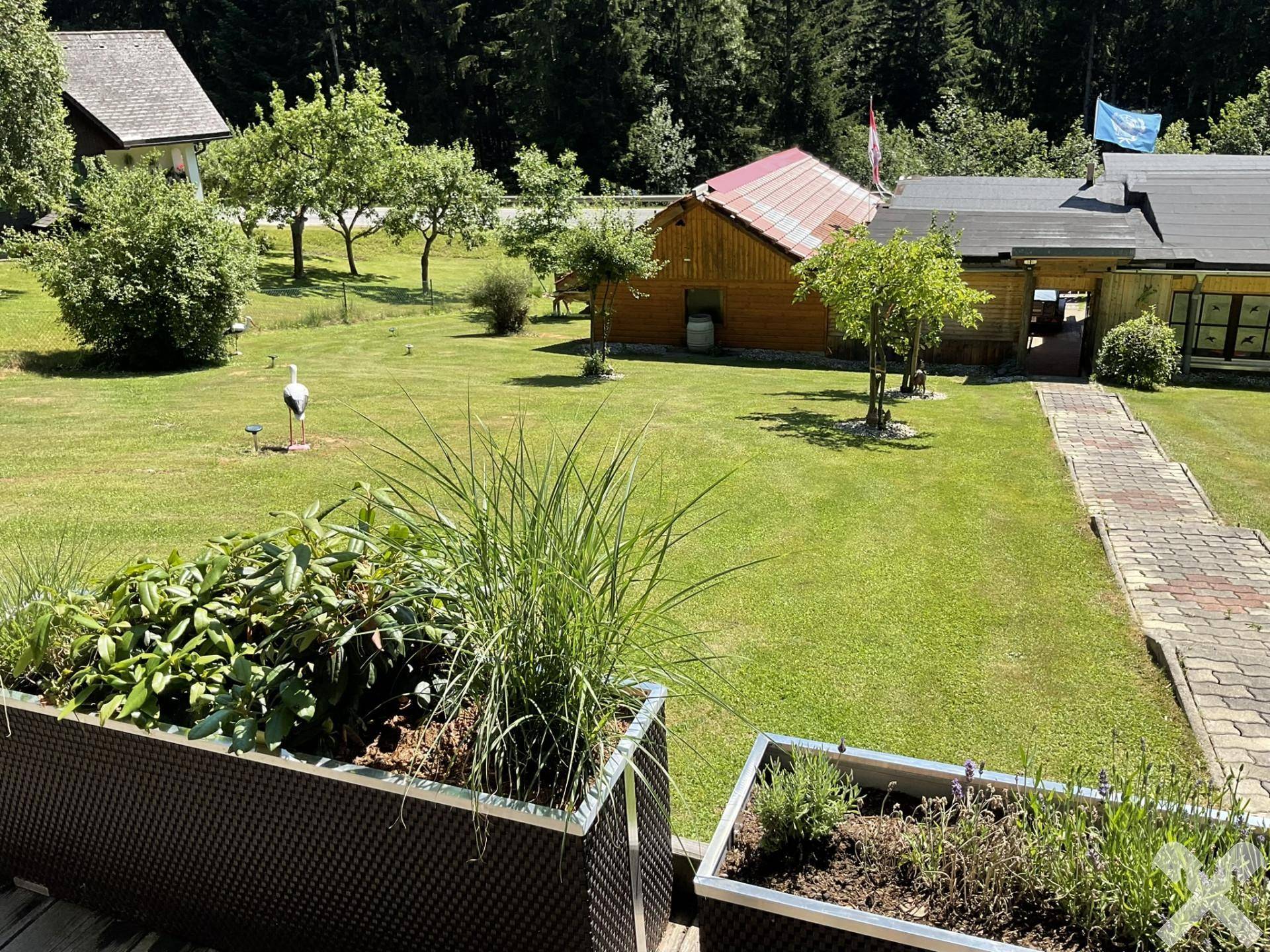 Blick von der Terrasse auf den gepflegten Garten mit Rasenfläche und Obstbäumen.