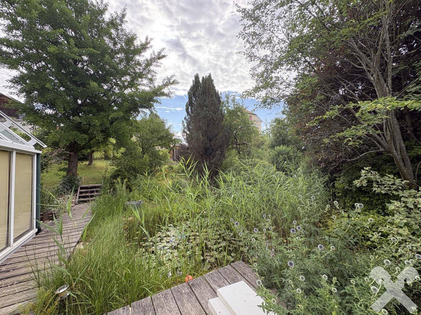 Naturbelassener Gartenbereich mit Holzsteg, üppiger Vegetation und hohen Bäumen.