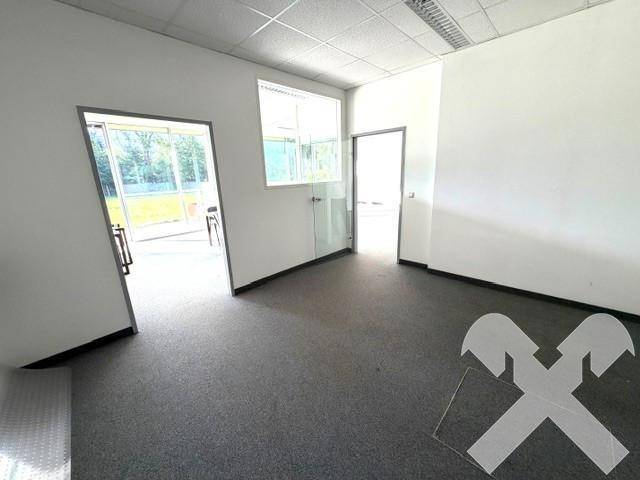 Innenansicht eines Bürobereichs mit Teppichboden und mehreren Türen, die zu angrenzenden Räumen führen.