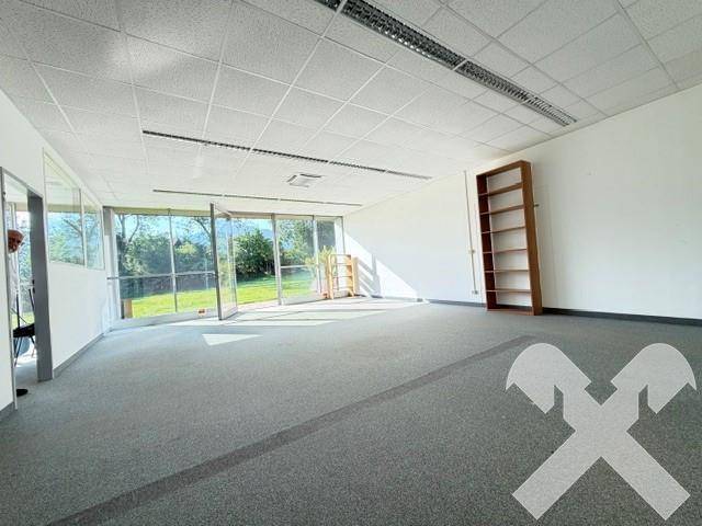 Heller Büroraum mit Teppichboden, hohen Decken und einer großen Fensterfront mit Blick auf die umliegende Natur.