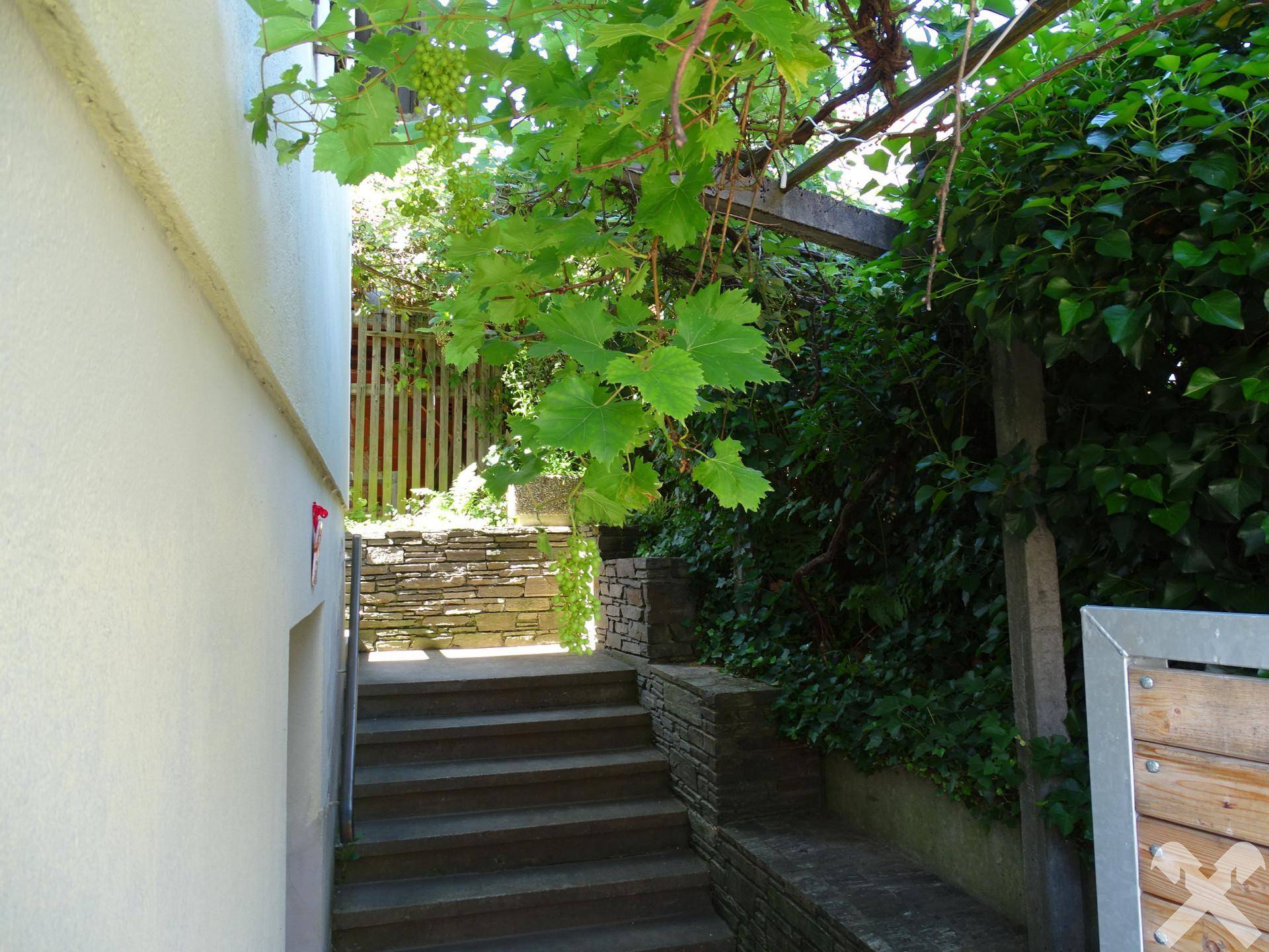 Steintreppe im Außenbereich, umgeben von üppigem Grün und einer Pergola mit Weinreben.
