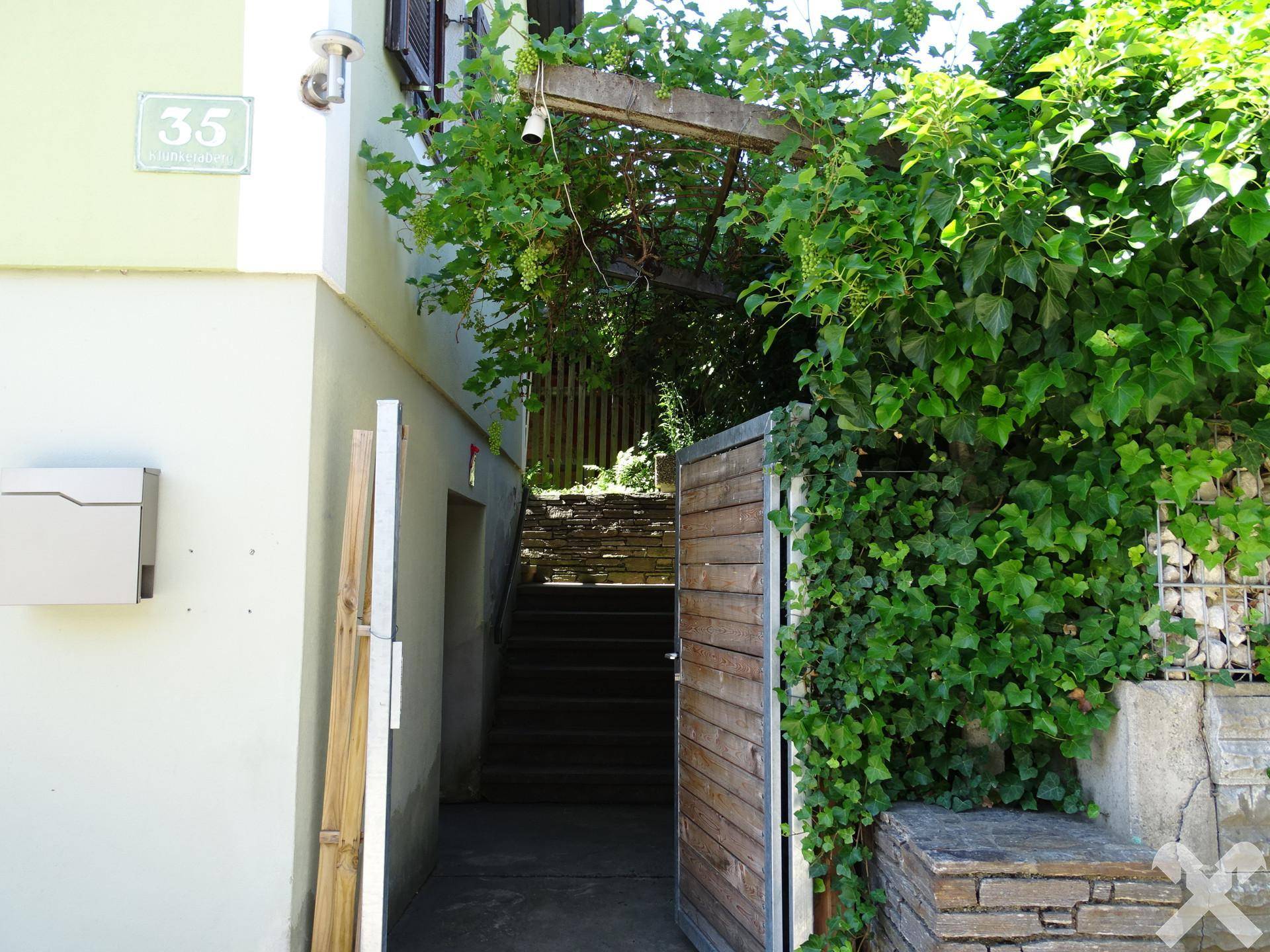 Eingangsbereich mit Holztor und Treppe, umgeben von dichtem Efeu und Weinreben.