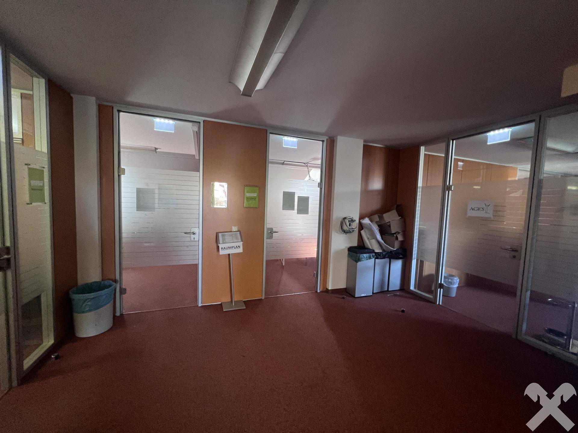 Offener Bürobereich mit mehreren Glastüren, die zu einzelnen Büros oder Besprechungsräumen führen.