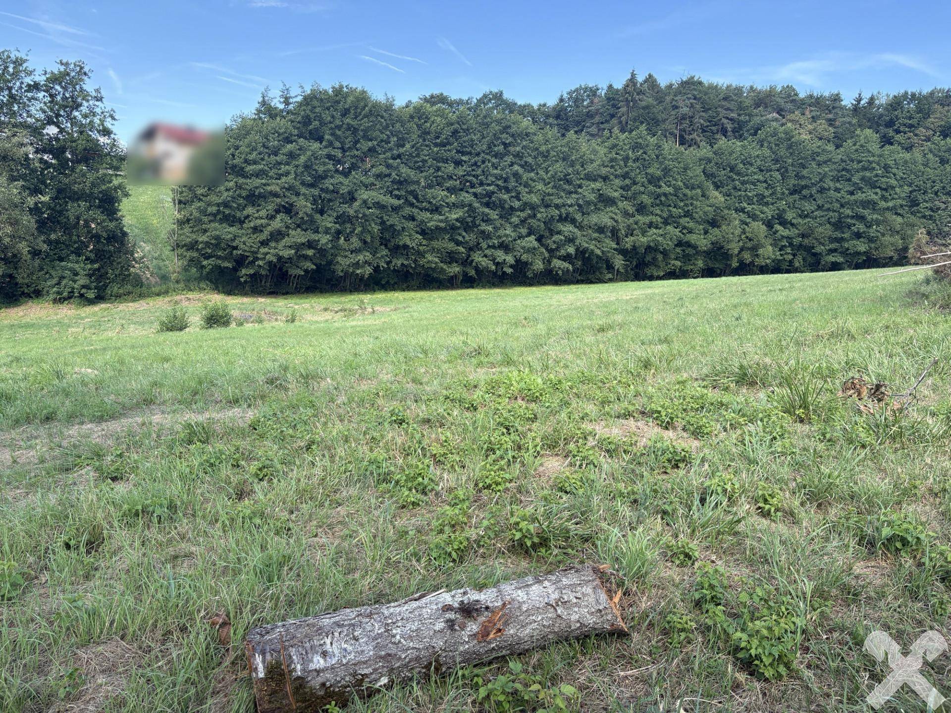 Weites grünes Feld mit einem Baumstamm im Vordergrund und einem bewaldeten Horizont unter blauem Himmel.