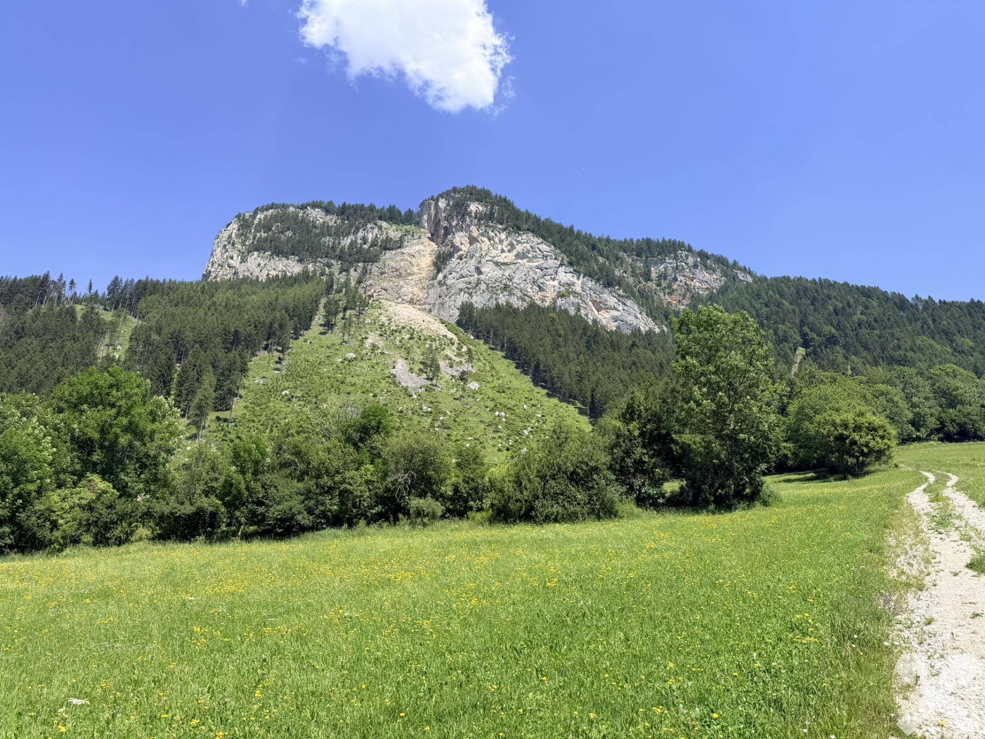 Malerischer Feldweg durch grüne Wiesen mit imposanter Felswand im Hintergrund unter blauem Himmel.