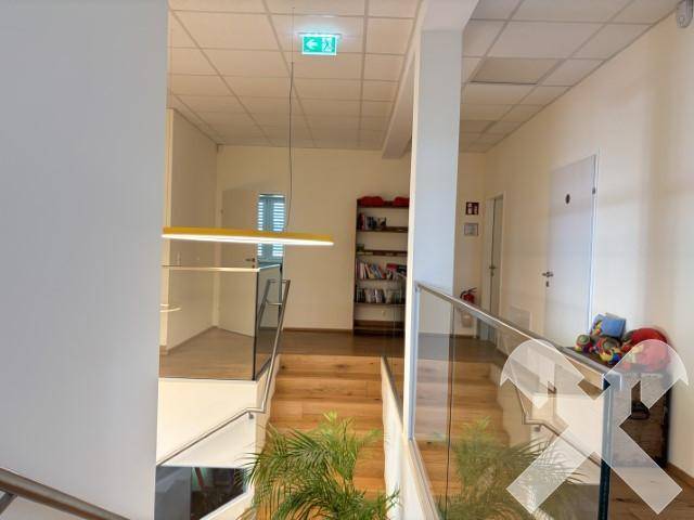 Blick auf eine moderne Treppe mit Holzstufen und Glasgeländer, die zu einem unteren Bereich führt.