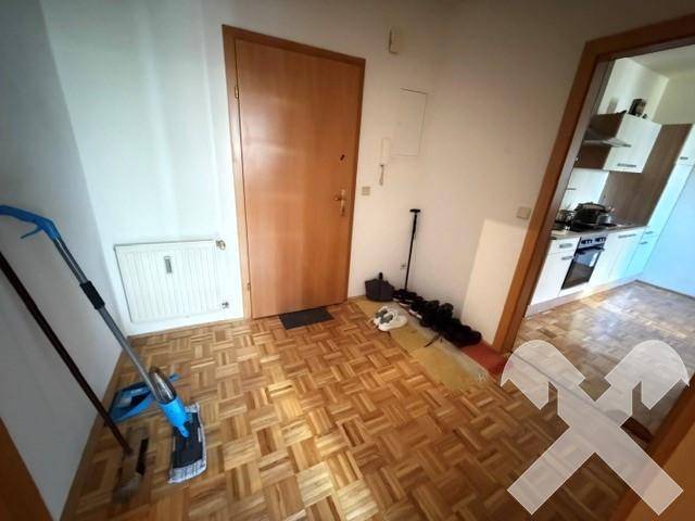 Eingangsbereich mit Parkettboden und Zugang zu den angrenzenden Wohnräumen.