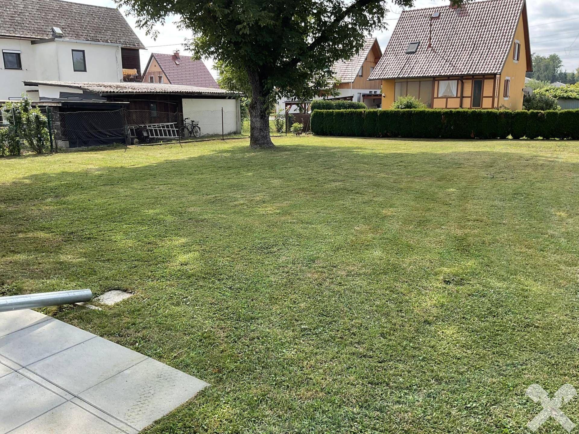 Ausgedehnte Rasenfläche mit einem großen Baum, umgeben von weiteren Wohnhäusern in ländlicher Umgebung.