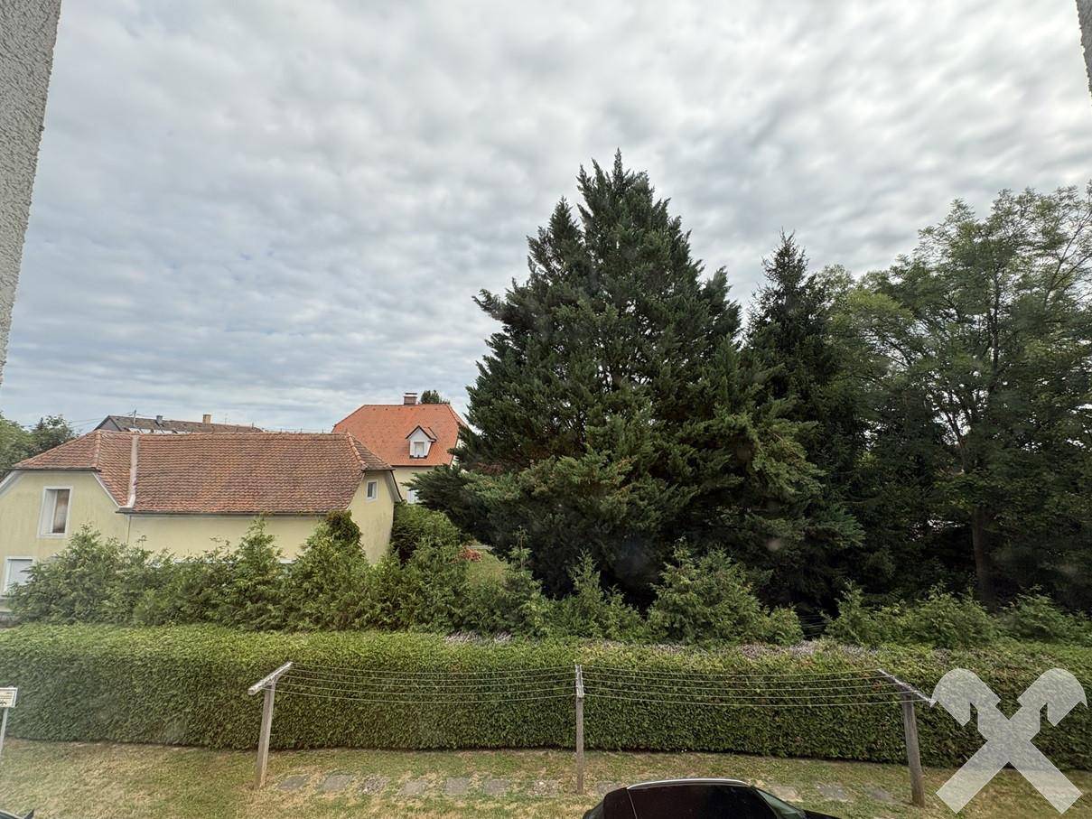 Blick ins Grüne mit hohen Bäumen und umliegenden Wohnhäusern unter bewölktem Himmel.