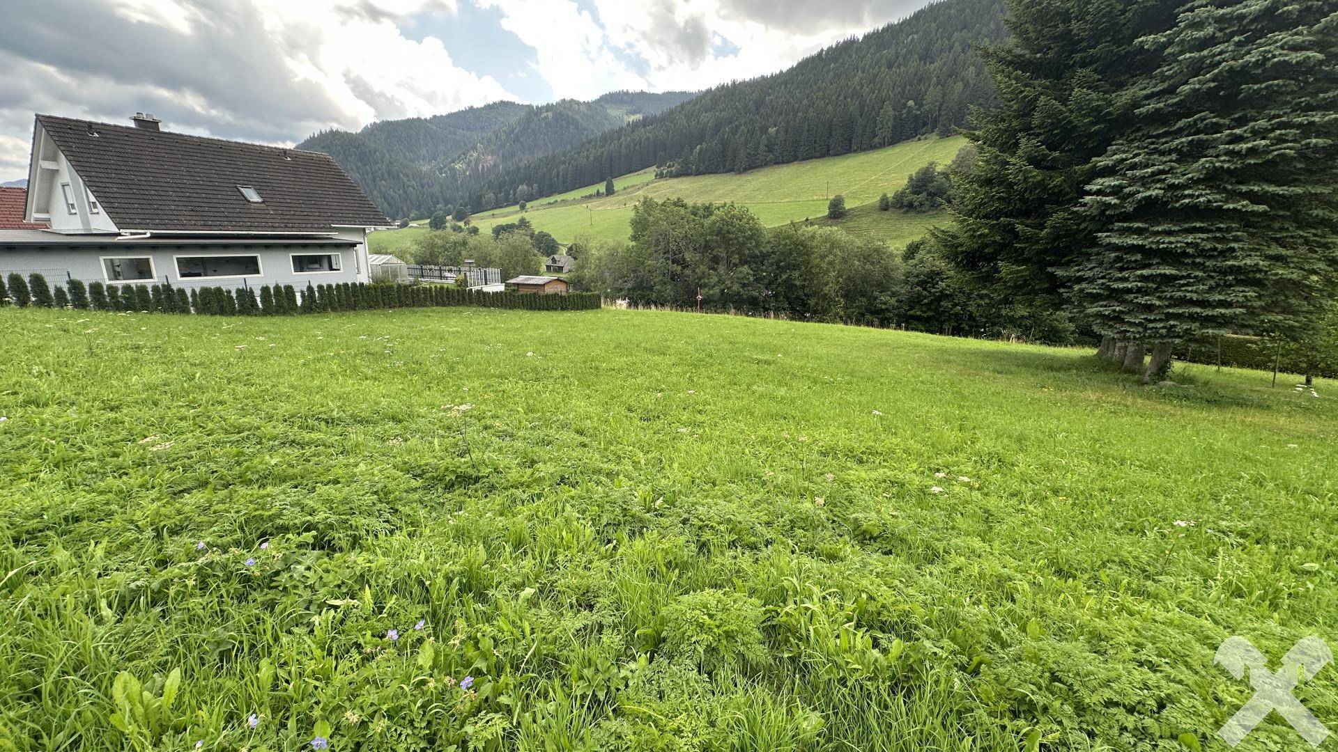 Sonnige Wiesenfläche mit Blick auf ein Wohnhaus und die bewaldeten Berge in der Ferne.