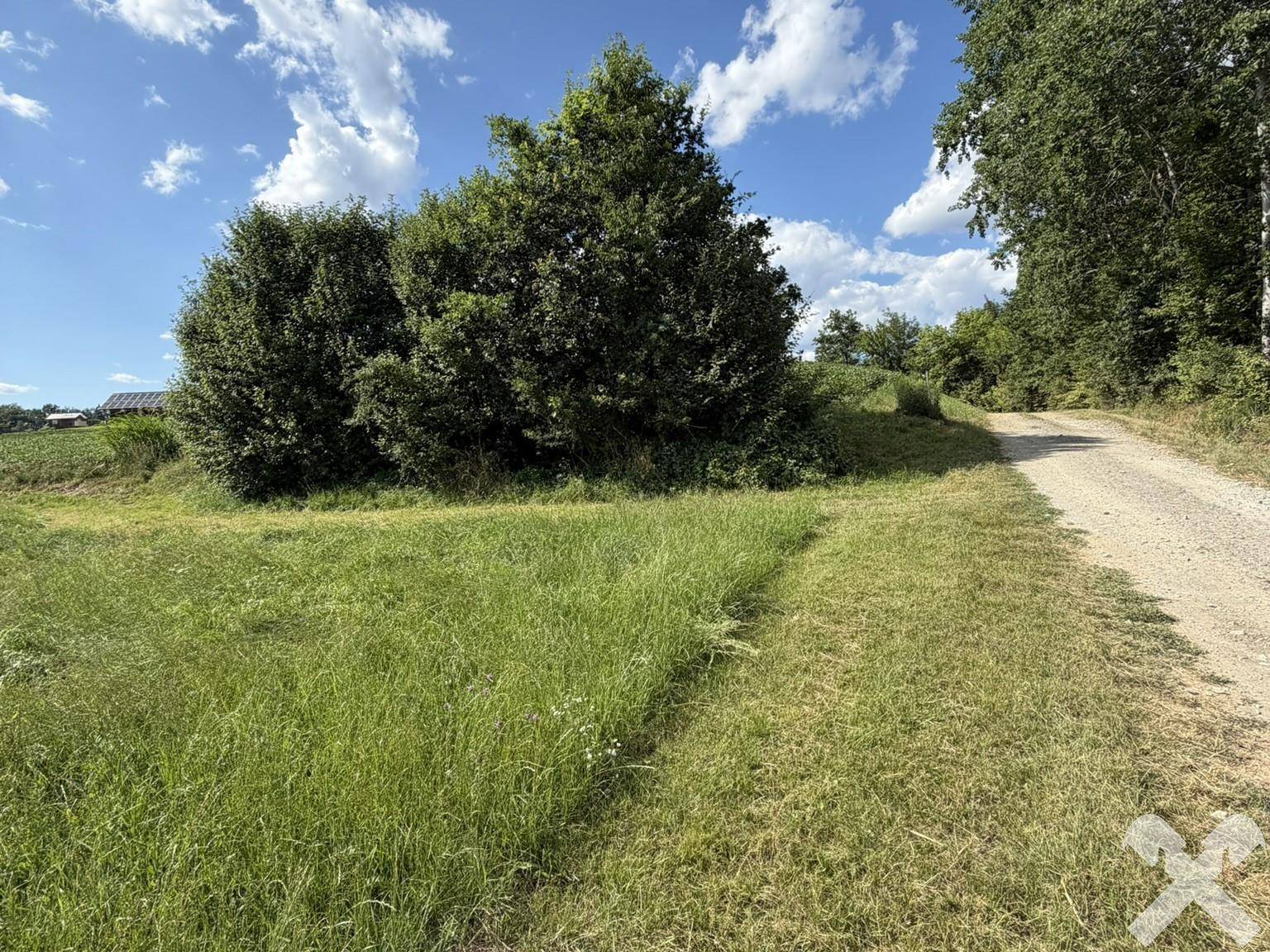 Unbefestigter Feldweg, der durch eine grüne Landschaft mit Bäumen und Büschen führt.