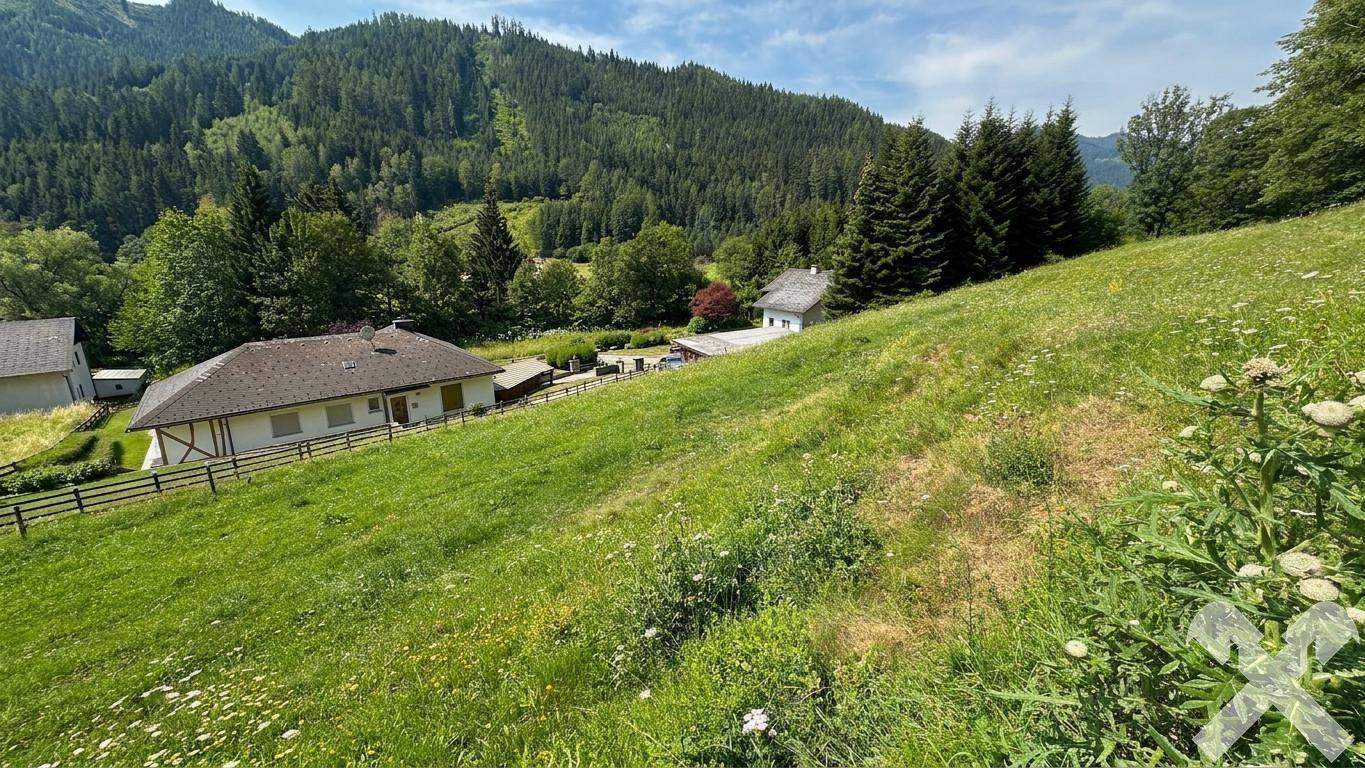 Weitläufige grüne Landschaft mit mehreren Häusern am Hang und dicht bewaldeten Bergen unter blauem Himmel.