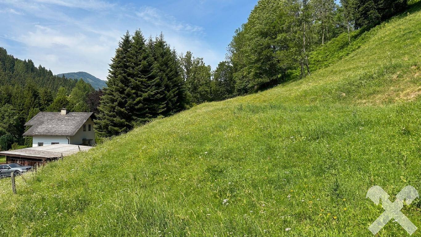 Sonnige grüne Wiese mit einem traditionellen Haus am Hang und bewaldeten Bergen in der Ferne.