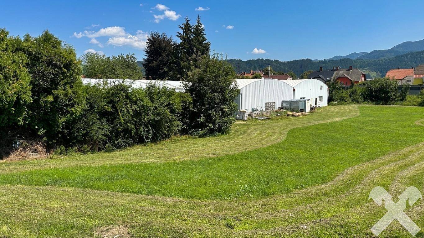 Weitläufige grüne Fläche mit frisch gemähtem Gras, umgeben von Bäumen und Gebäuden unter klarem Sommerhimmel.