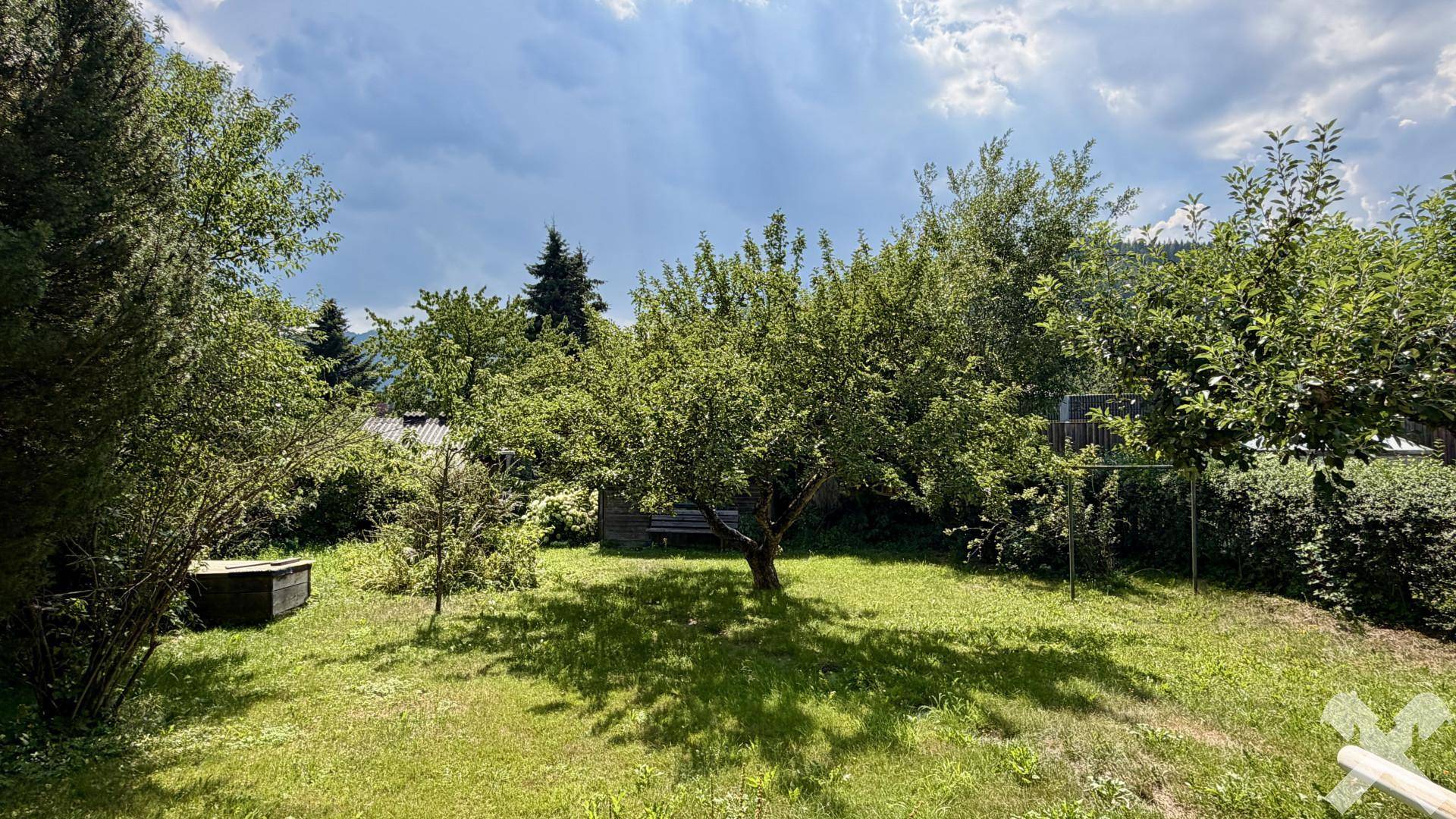 Großer, sonniger Garten mit Obstbäumen und viel Grünfläche, ideal zum Entspannen.