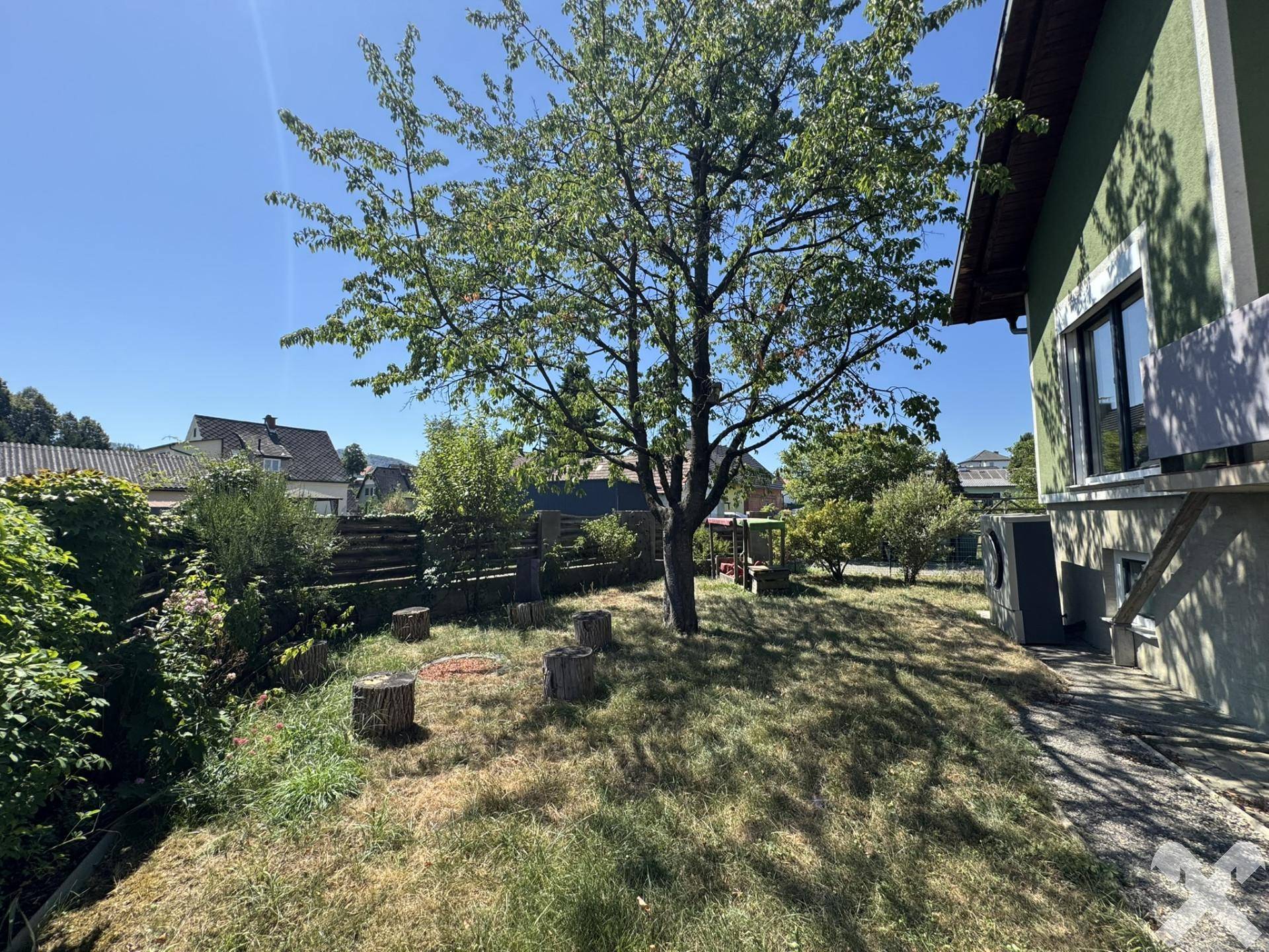 Großer Gartenbereich mit Rasenfläche, altem Baum und Baumstumpf-Sitzgelegenheiten.