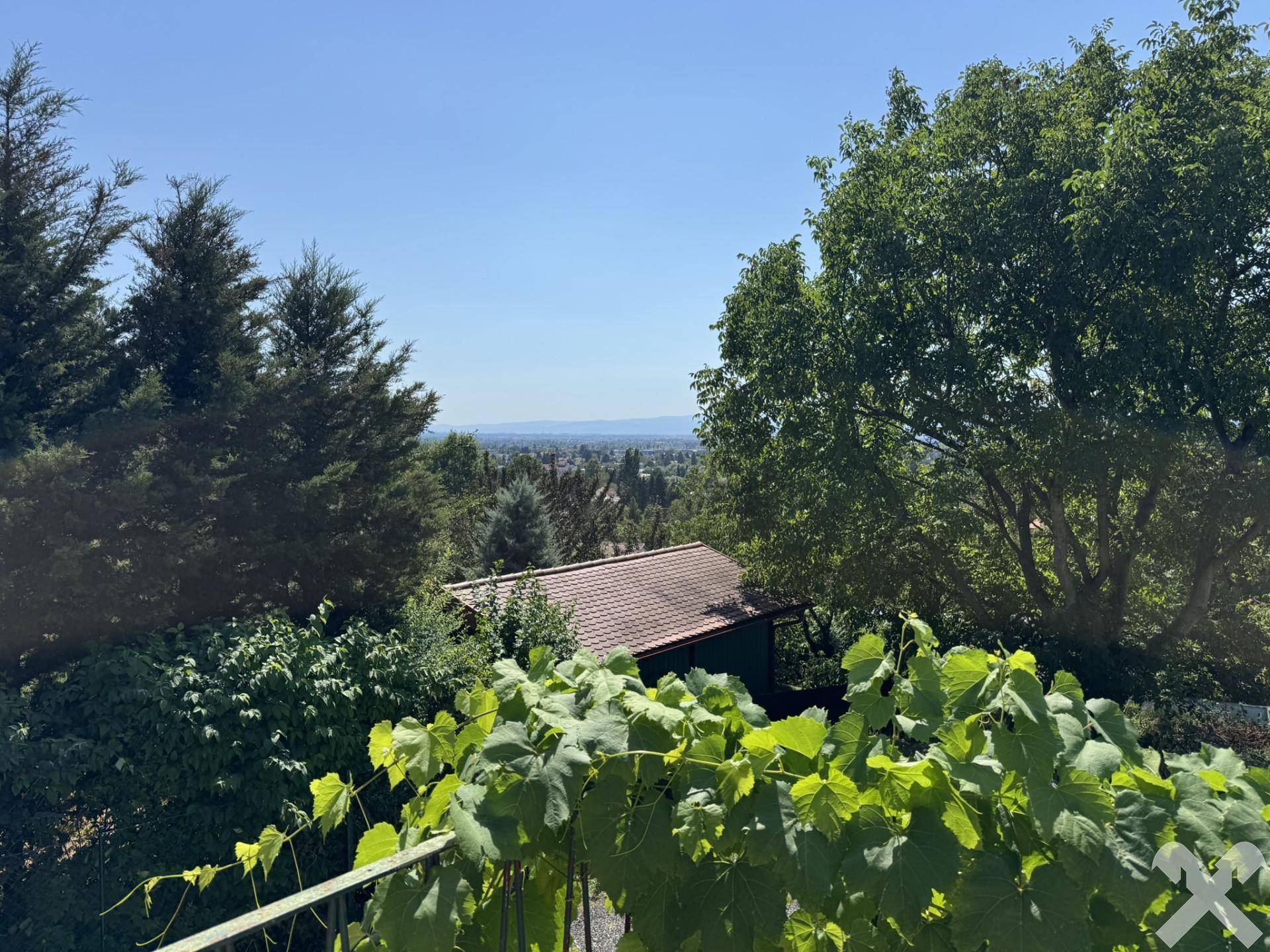 Weitblick von einem Balkon über üppiges Grün und die malerische Landschaft in der Ferne.