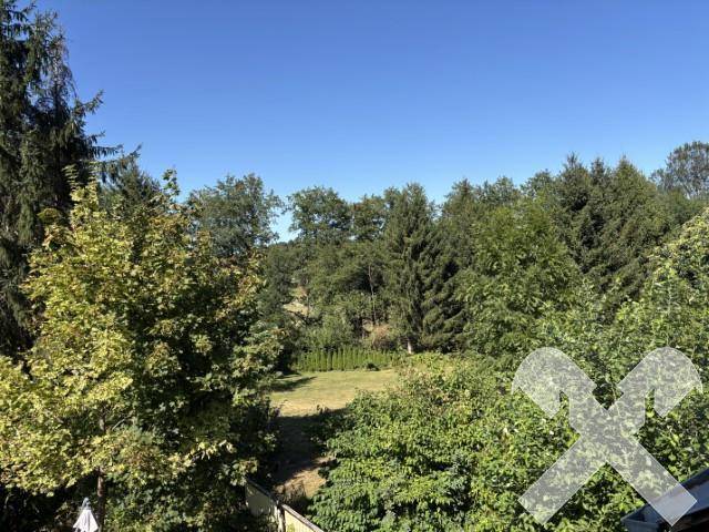Weitläufiger Blick ins Grüne mit vielen Bäumen und Sträuchern unter einem klaren blauen Himmel.