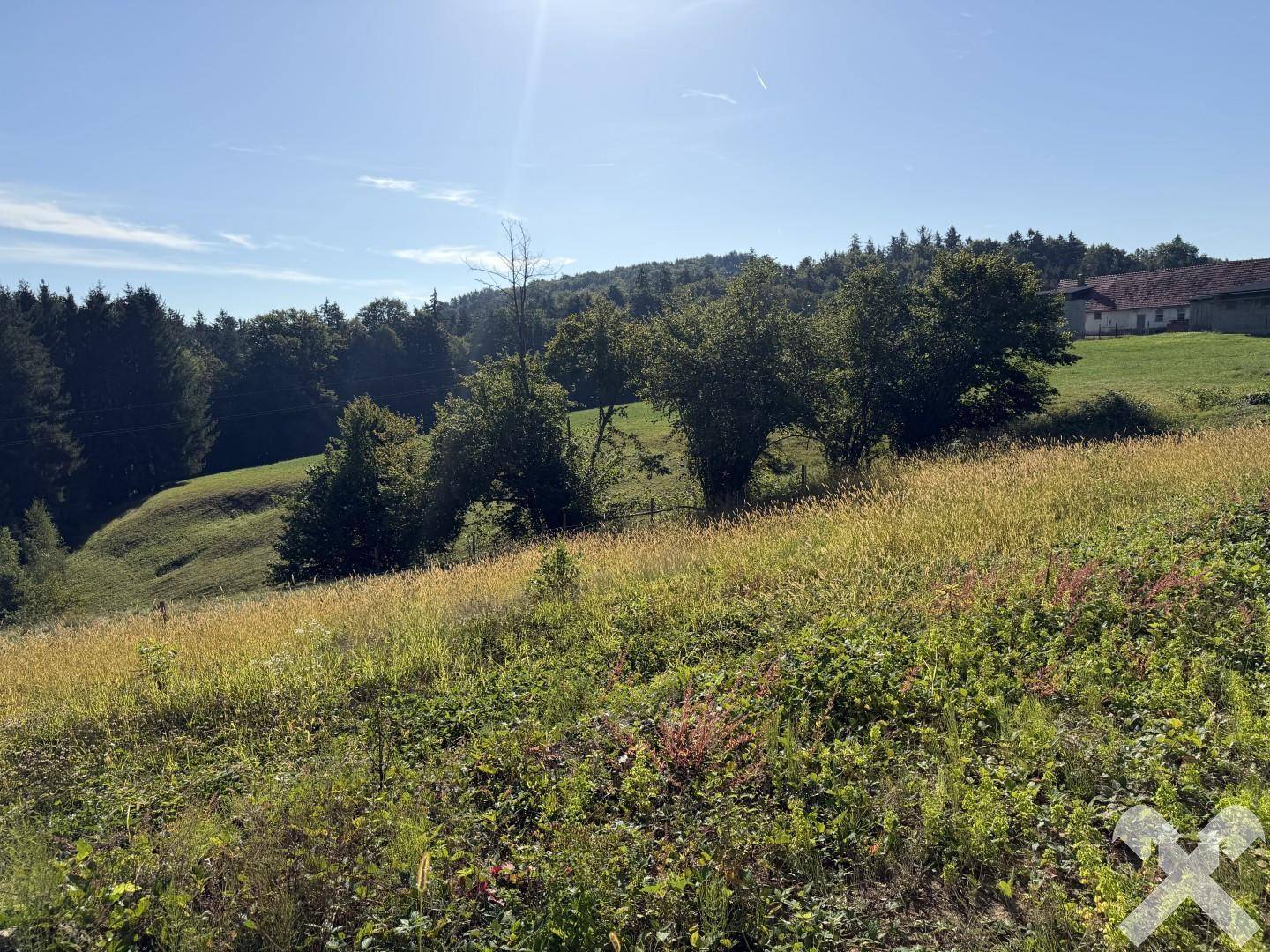 Grundstück