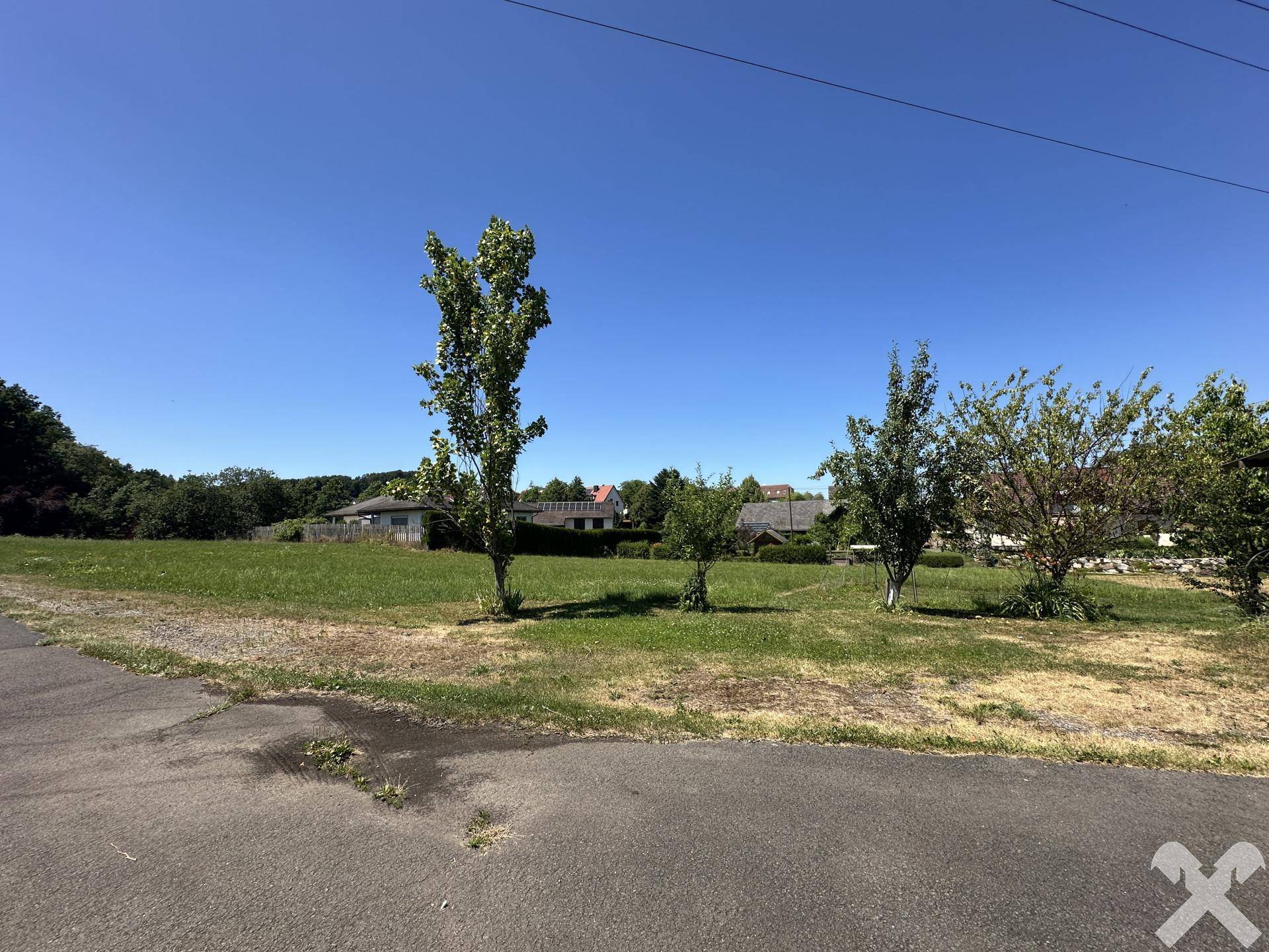 Blick über eine asphaltierte Fläche auf ein grünes Feld mit jungen Bäumen und Häusern im Hintergrund.