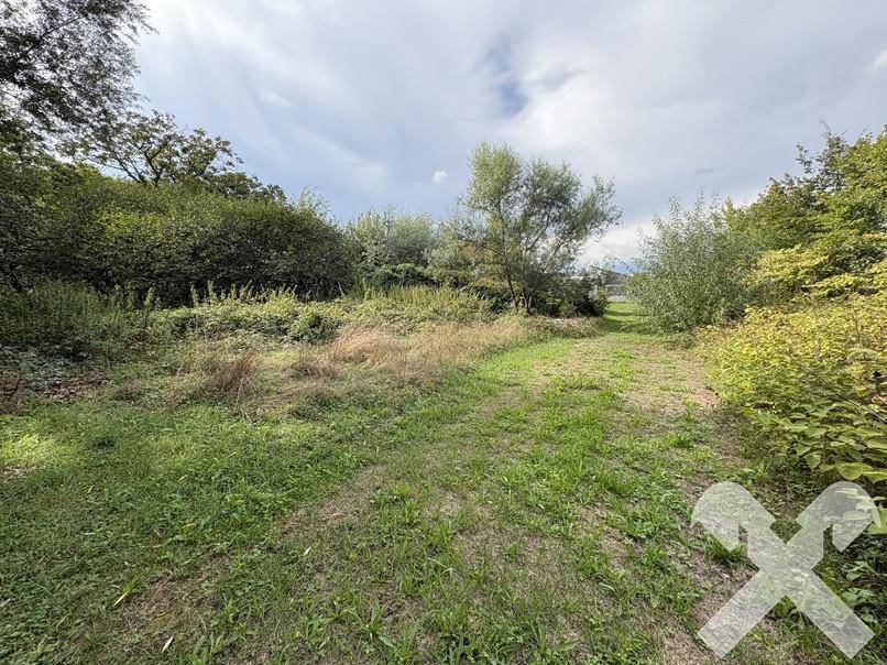 Großer, naturbelassener Gartenbereich mit hohem Gras und verschiedenen Büschen und Bäumen.