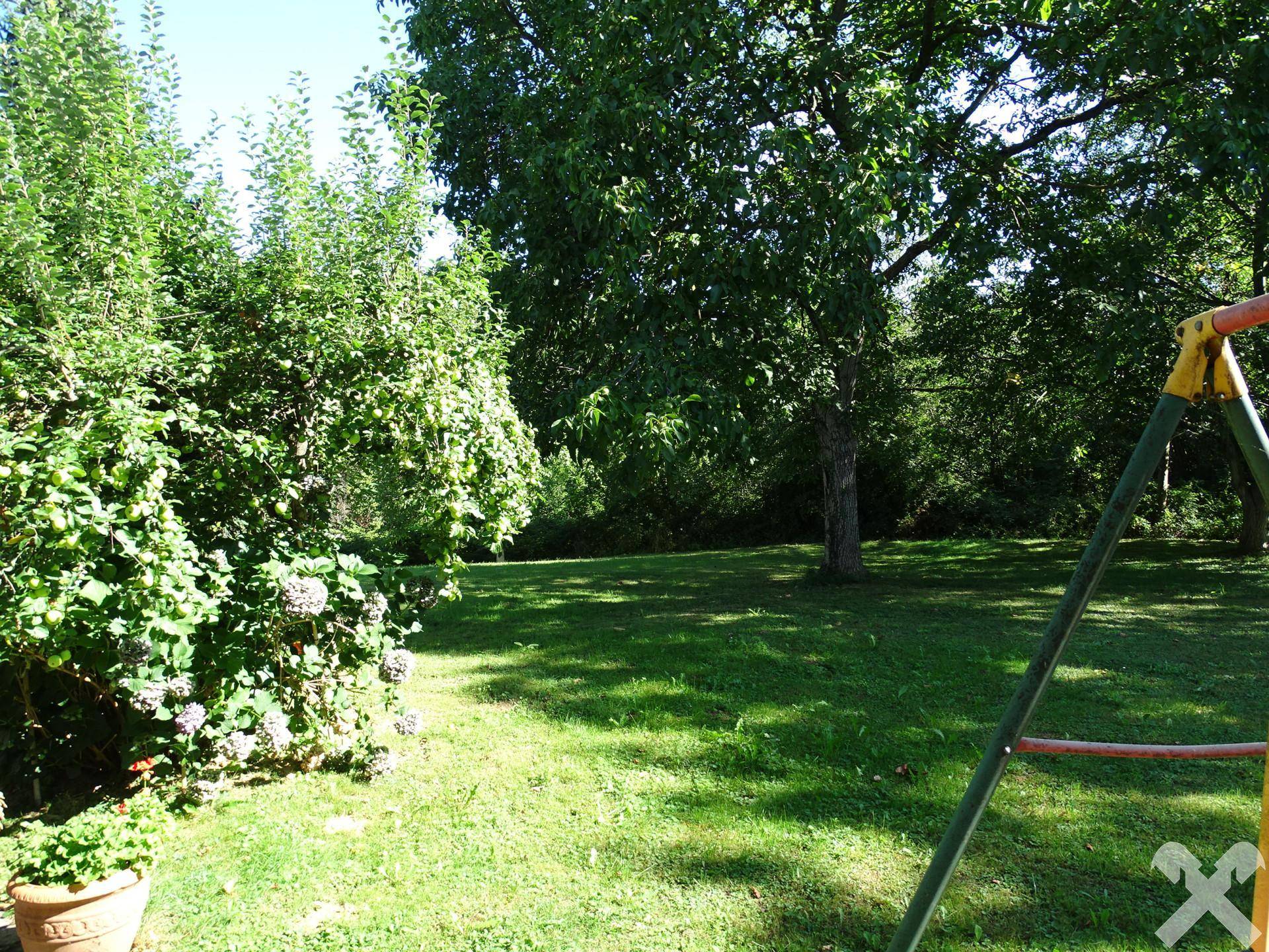 Weitläufiger Gartenbereich mit üppigem Grün, hohen Bäumen und einer Kinderschaukel.