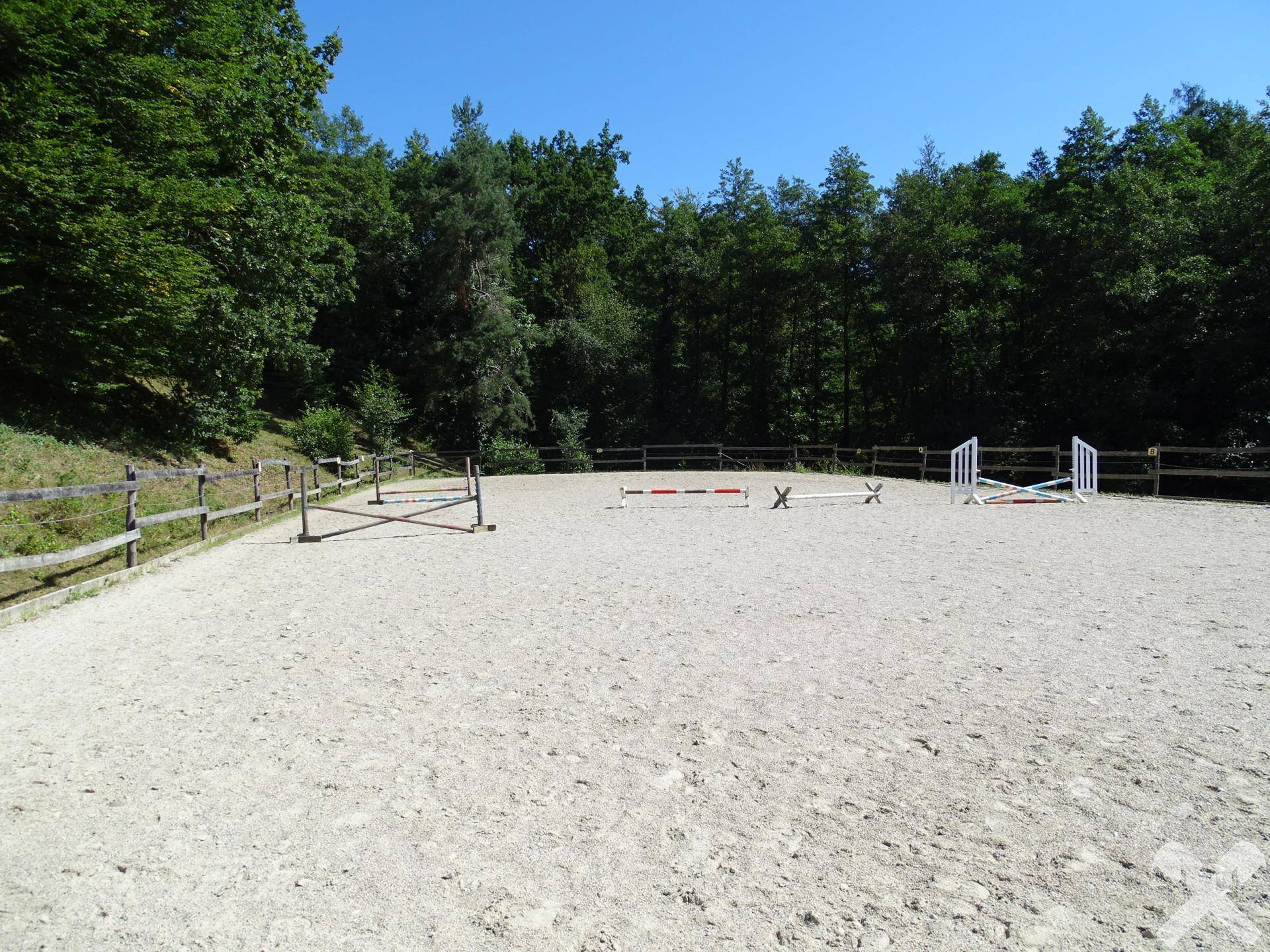 Sandreitplatz mit Hindernissen und Holzzaun, umgeben von dichtem Wald und viel Grün.