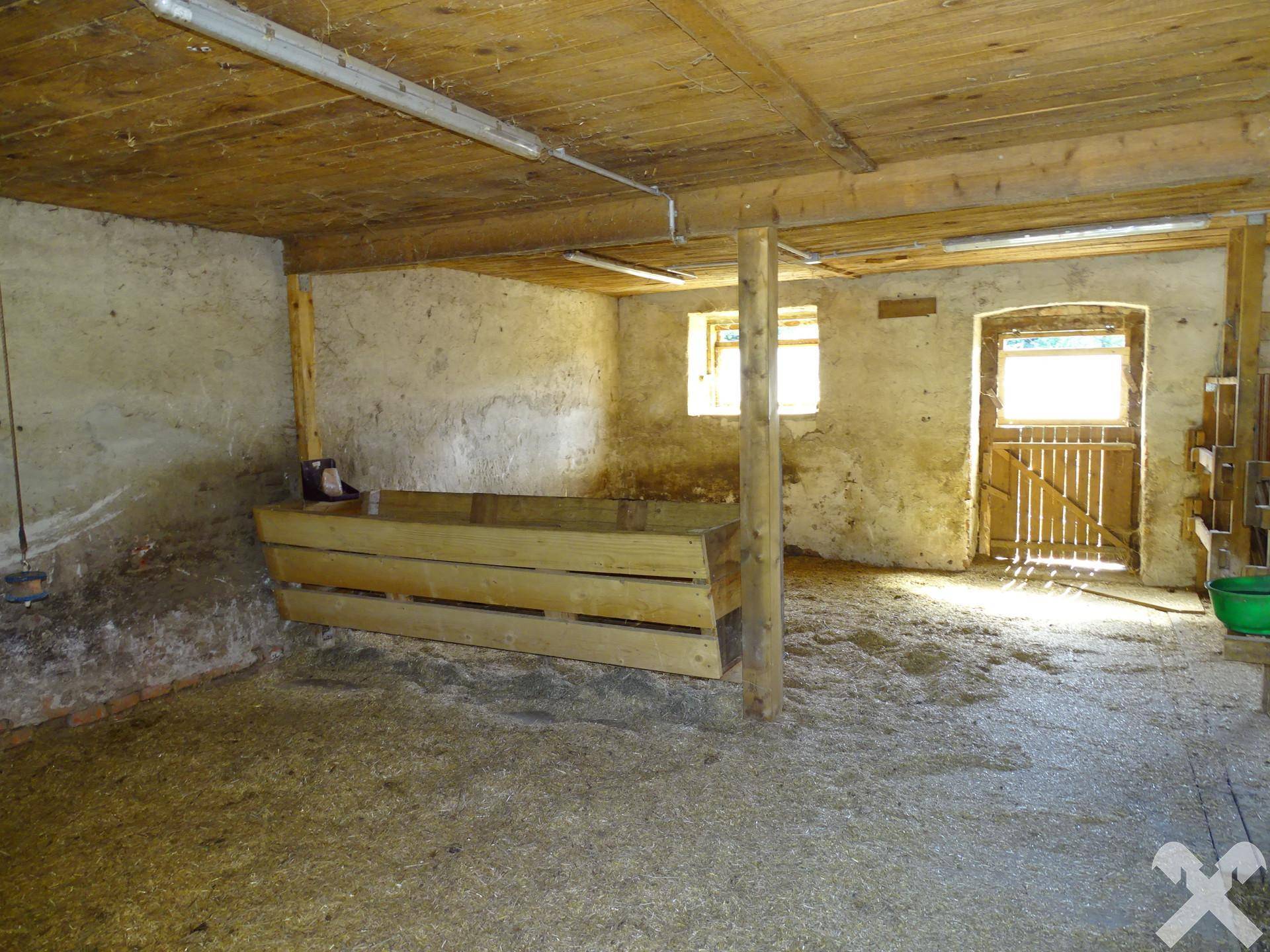 Geräumiger Stallbereich mit Holzbalken, Stroh auf dem Boden und Tageslichtfenstern.