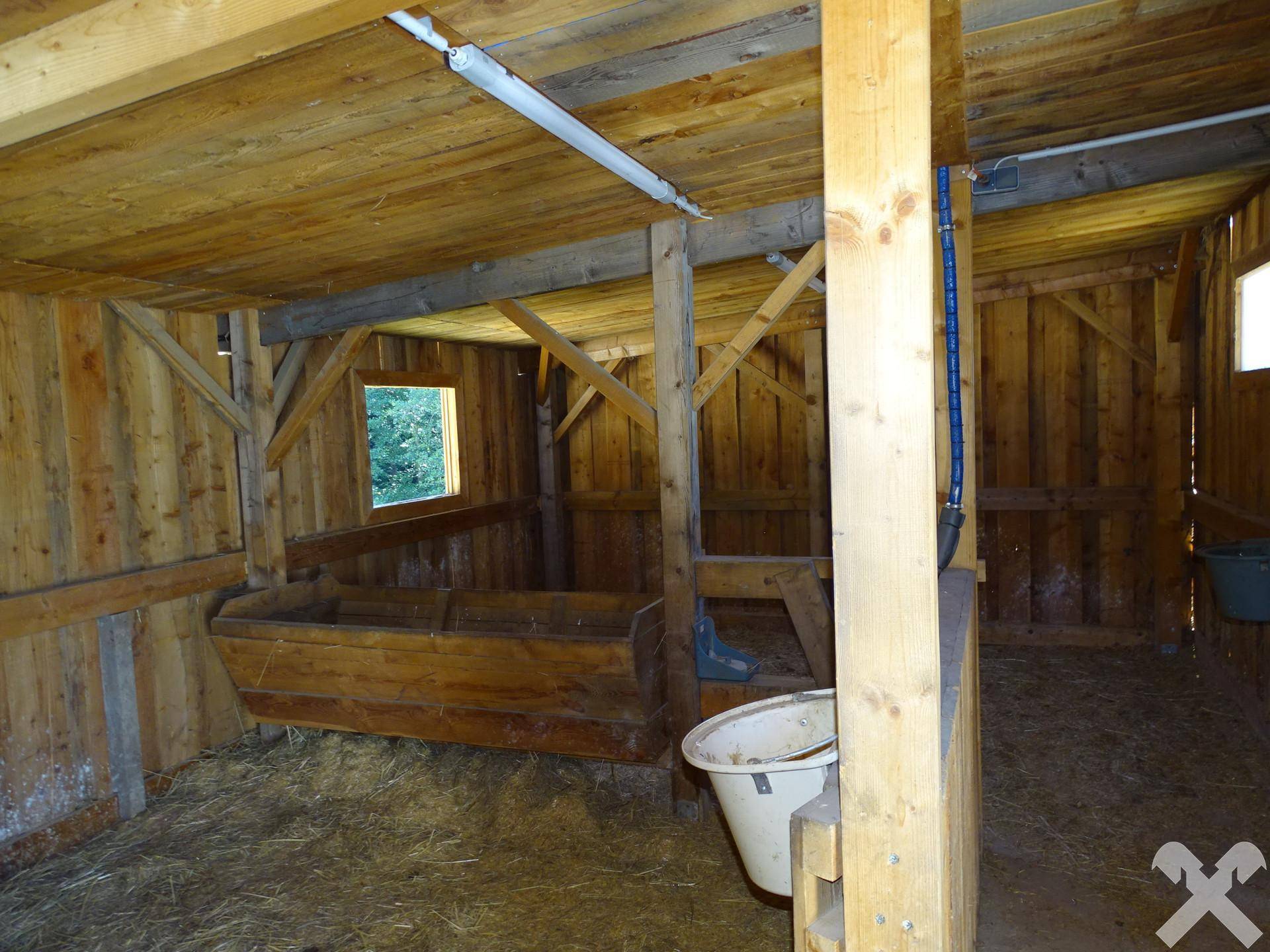 Innenansicht eines Stalls mit Holzbalken, Futtertrog und natürlicher Belichtung.