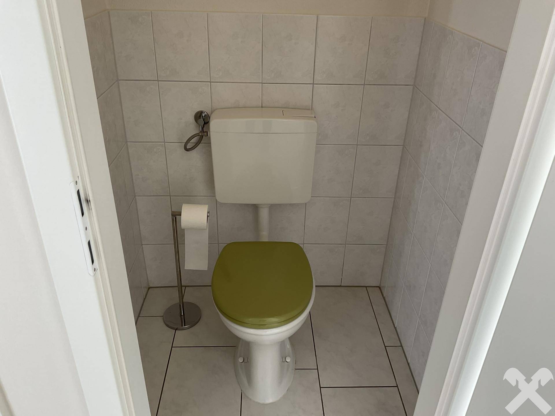 Kleiner Toilettenraum mit weißen Fliesen an Wänden und Boden, sowie einer auffälligen grünen Toilettenbrille.