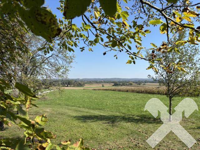 Malerische Landschaft mit weiten Feldern und Bäumen unter klarem blauem Himmel.