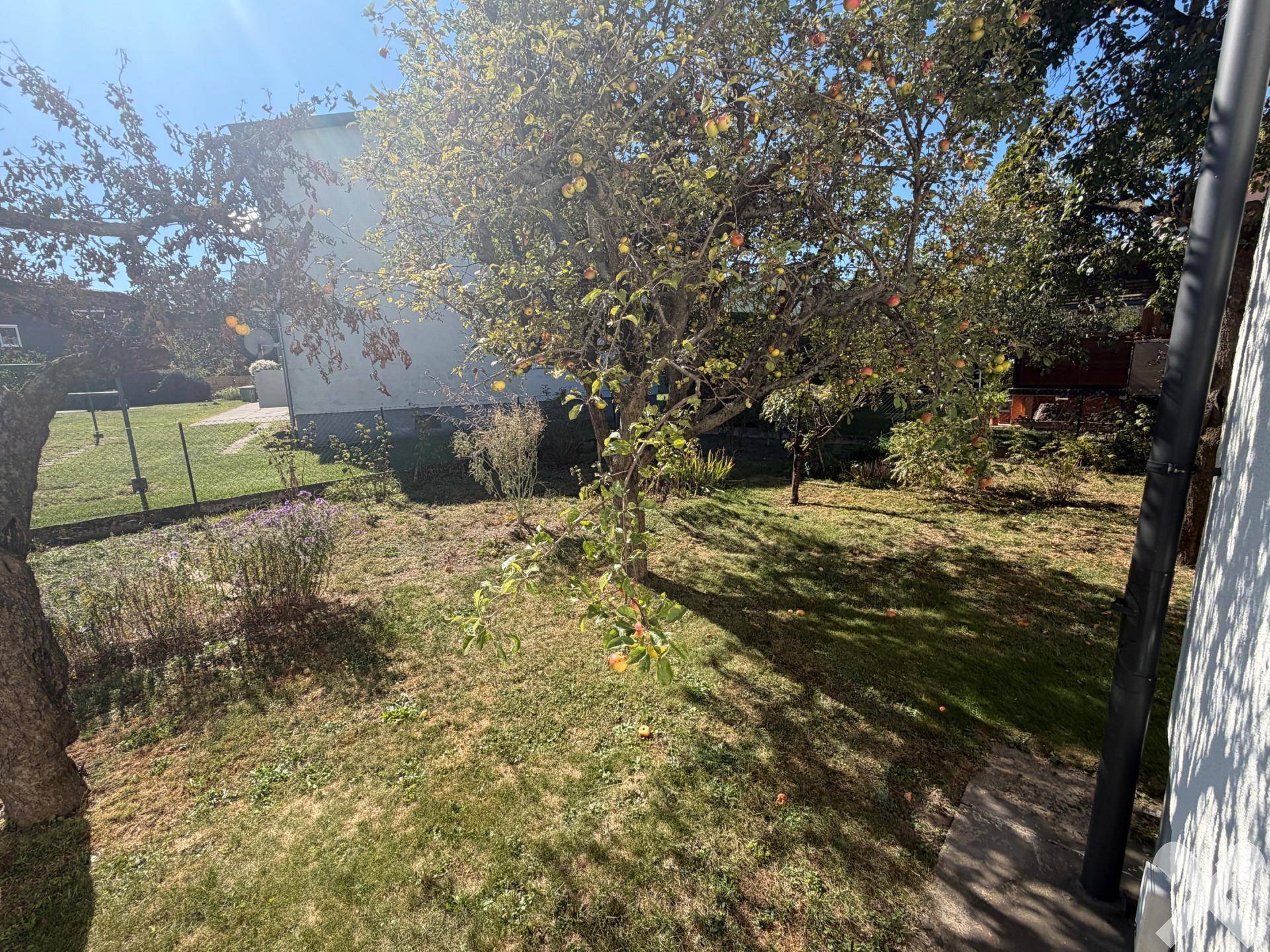 Zuletzt: Gartenimpressionen...
