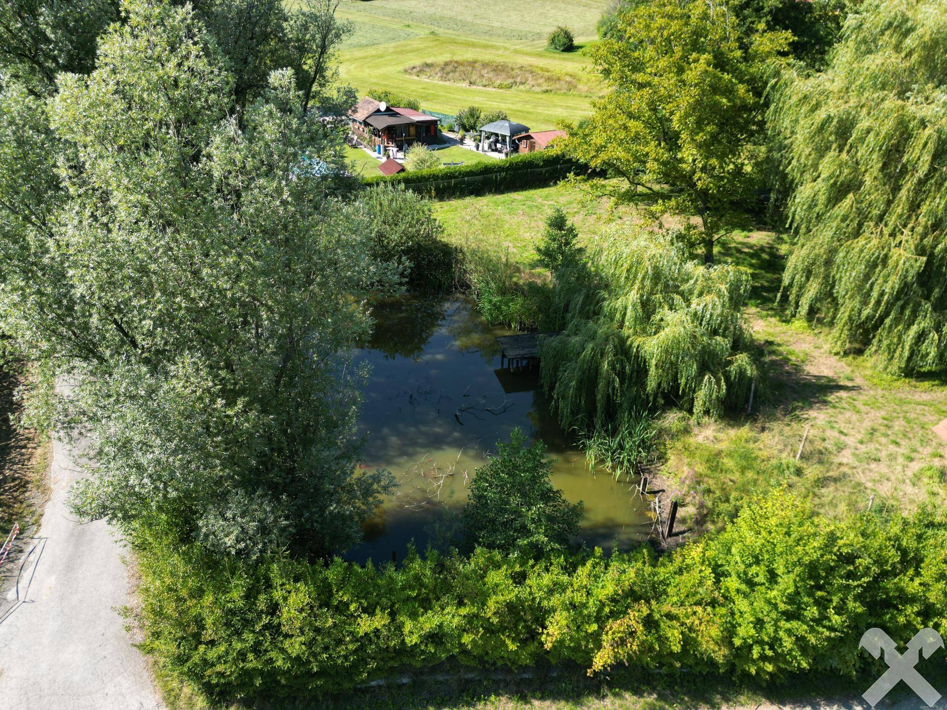Teich und Zufahrt