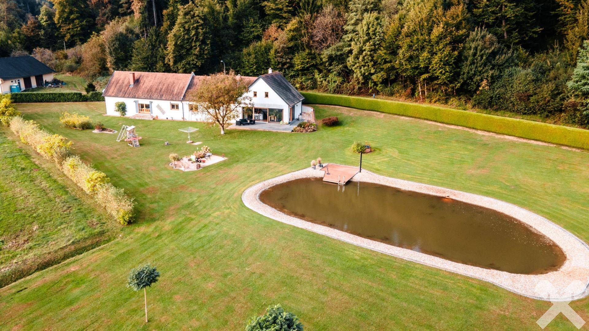 Ansicht mit Schwimmteich